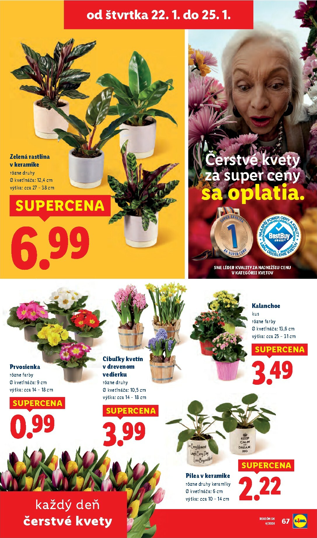 lidl - Leták Lidl platný od 19.01. do 25.01. - page: 77