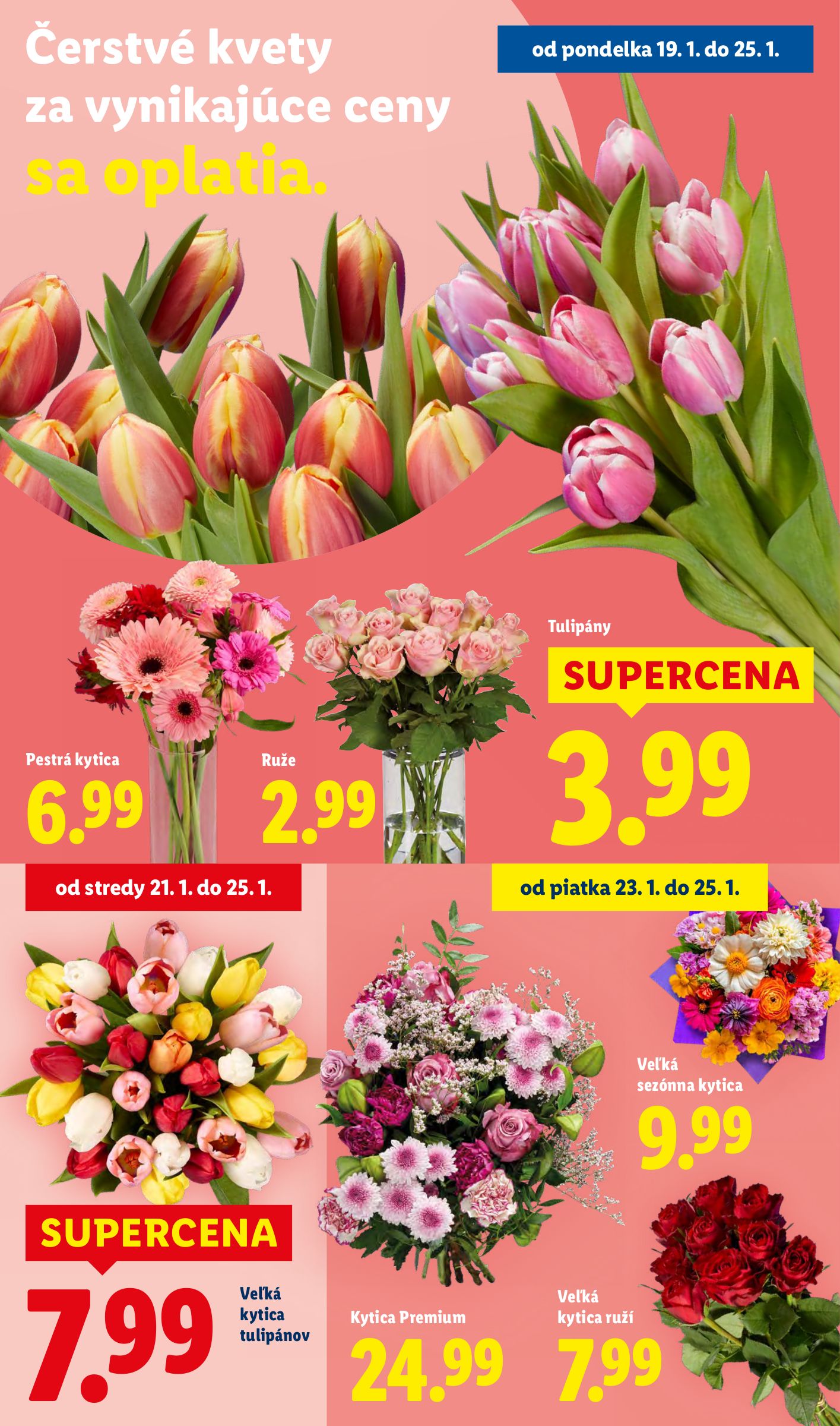 lidl - Leták Lidl platný od 22.01. do 25.01. - page: 79