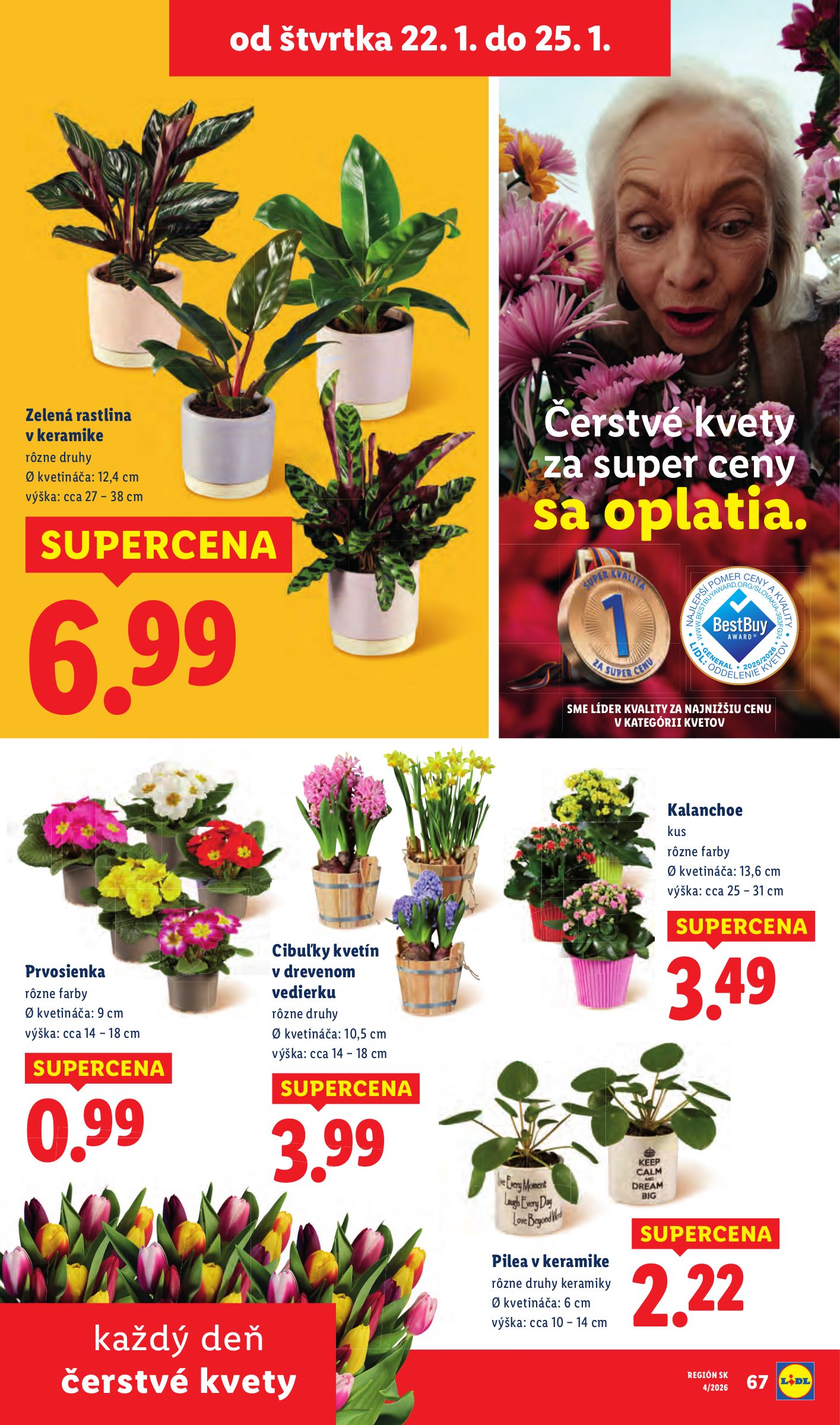 lidl - Leták Lidl platný od 22.01. do 25.01. - page: 15