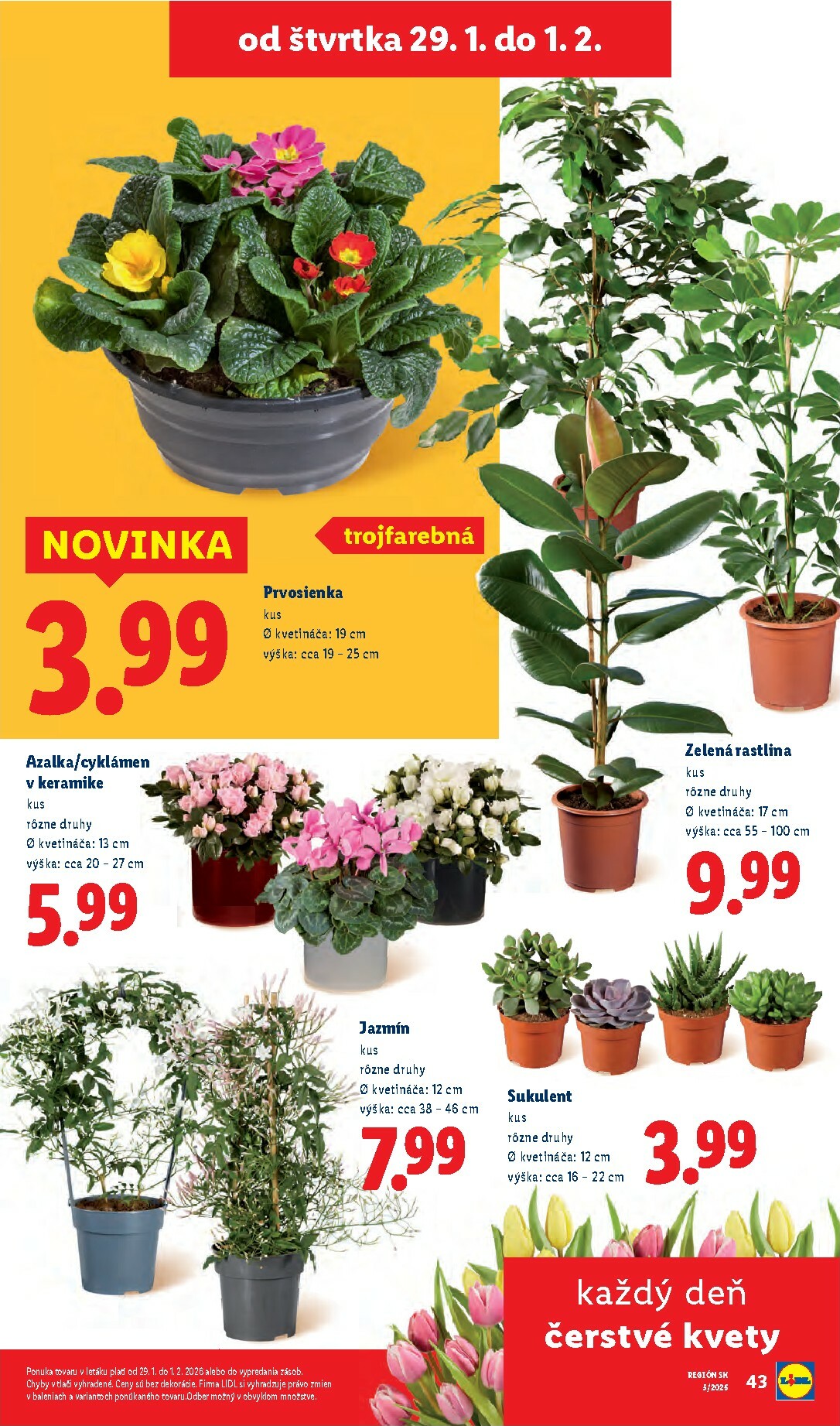 lidl - Leták Lidl platný od 26.01. do 01.02. - page: 81
