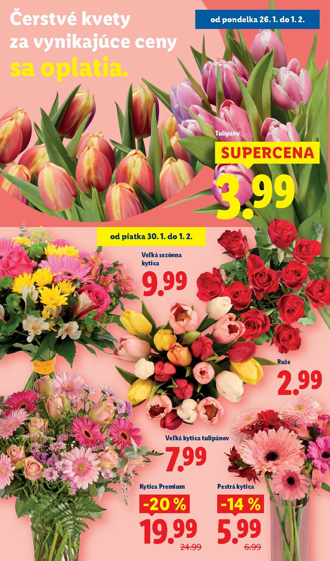 lidl - Leták Lidl platný od 26.01. do 01.02. - page: 42