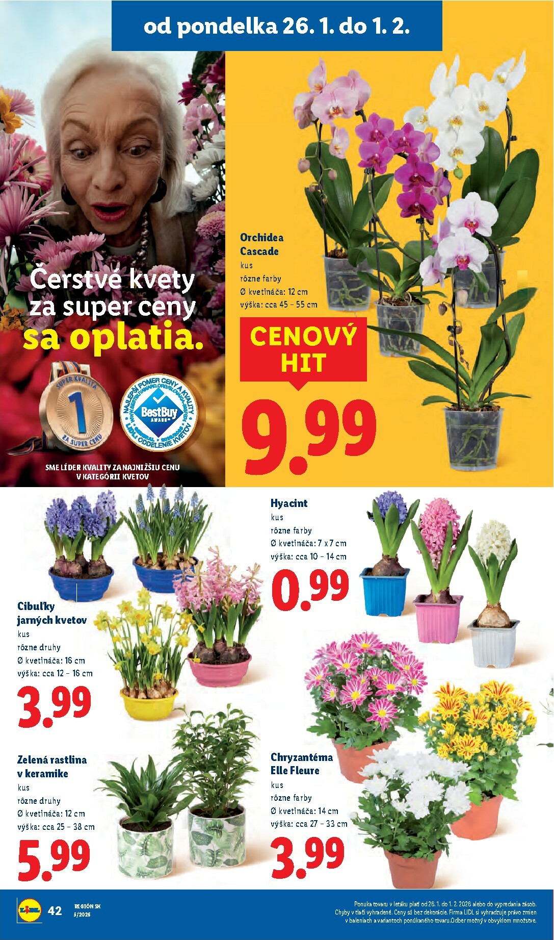 lidl - Leták Lidl platný od 26.01. do 01.02. - page: 43