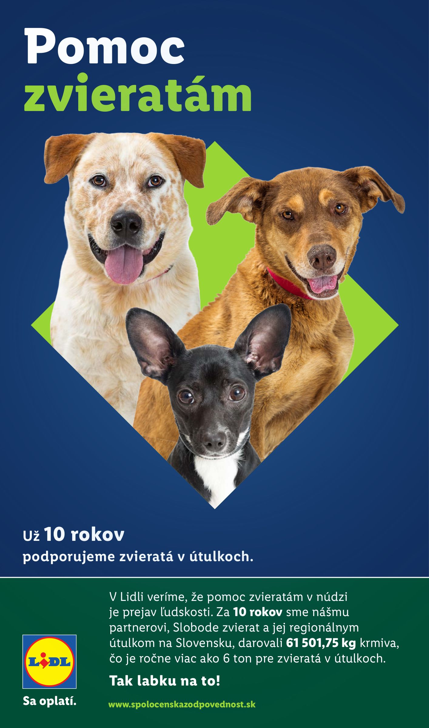 lidl - Leták Lidl platný od 05.02.2026 do 08.02.2026 - page: 49