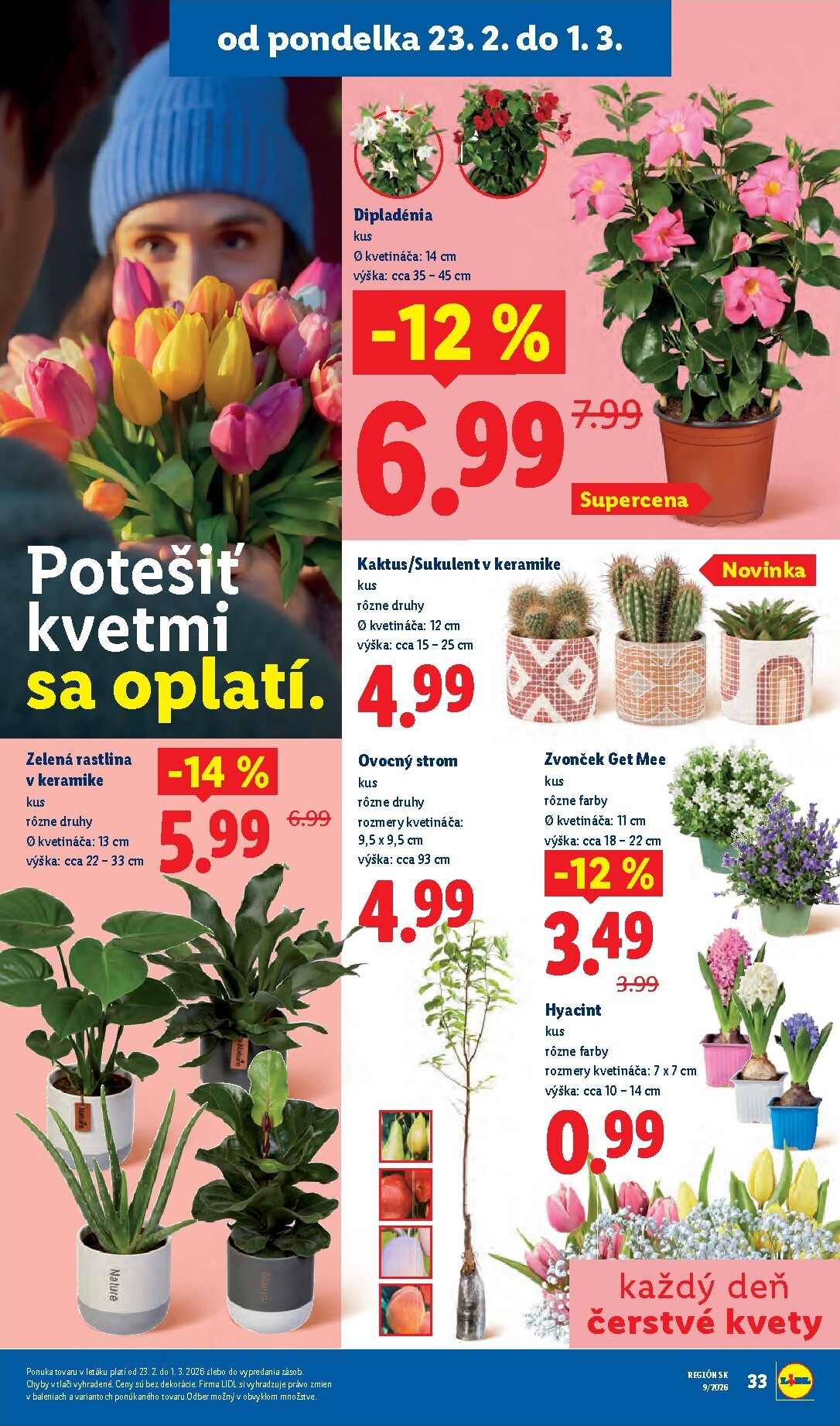 lidl - Leták Lidl platný od 23.02.2026 do 01.03.2026 - page: 41