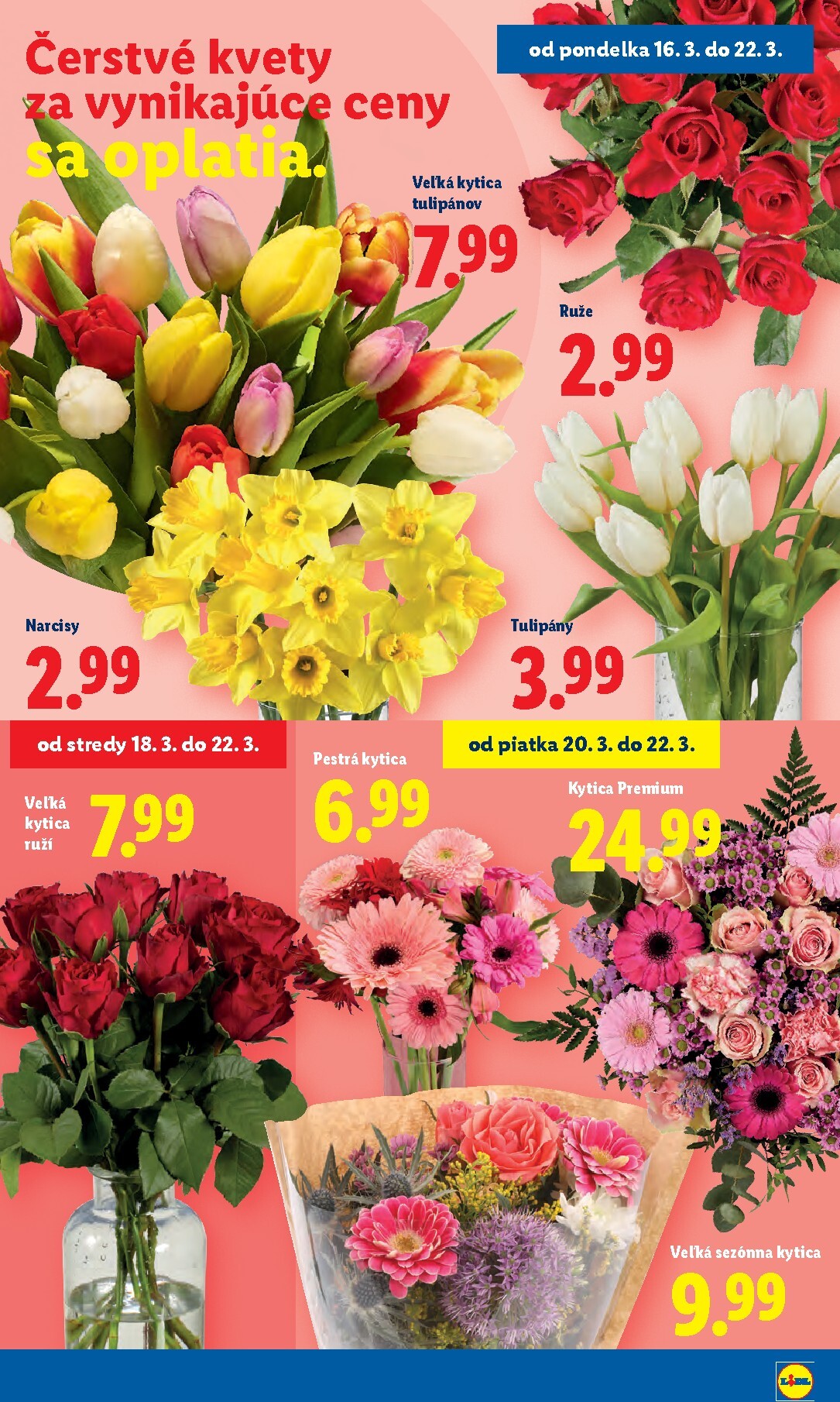 lidl - Leták Lidl platný od 16.03.2026 do 22.03.2026 - page: 57