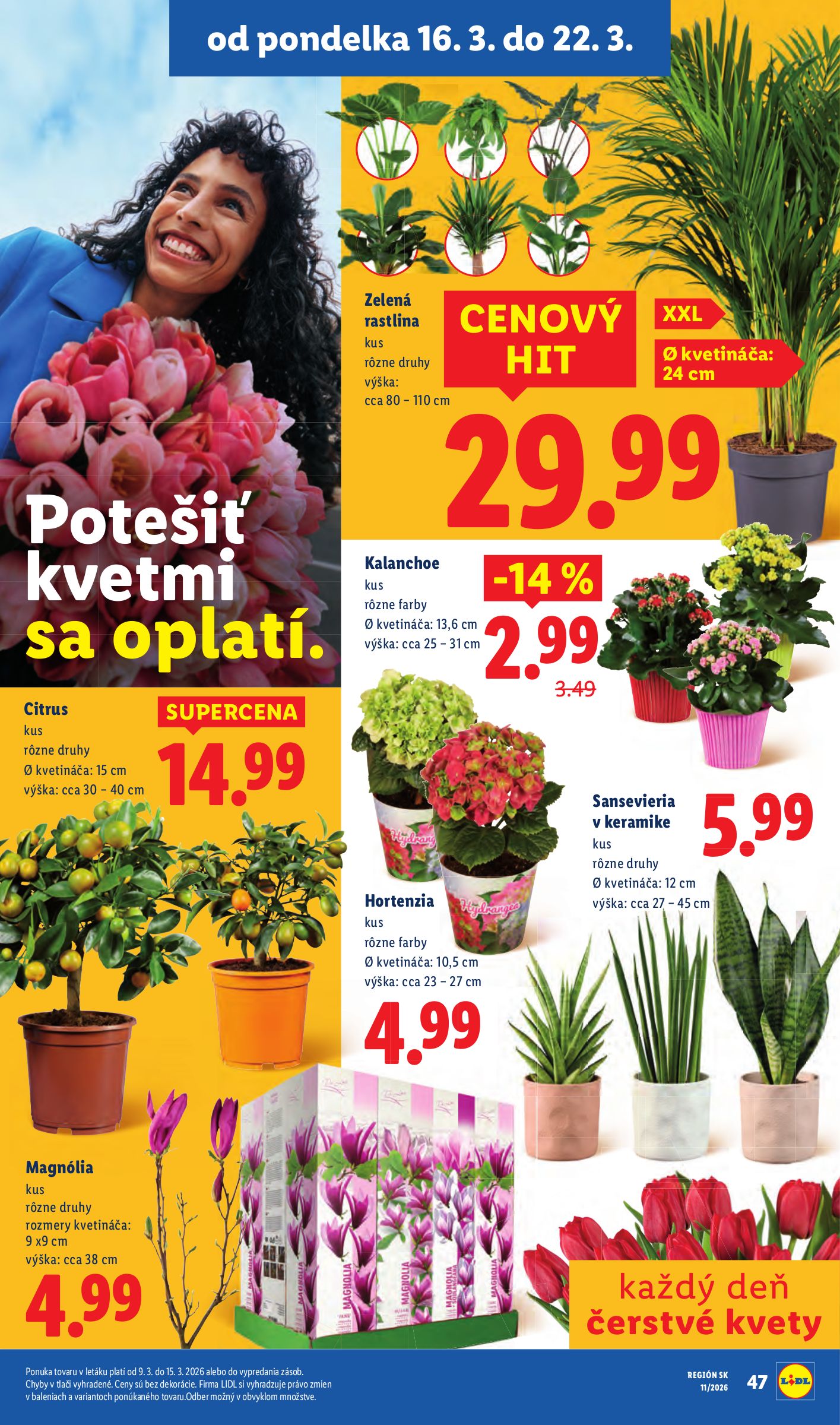 lidl - Leták Lidl platný od 19.03.2026 do 22.03.2026 - page: 90