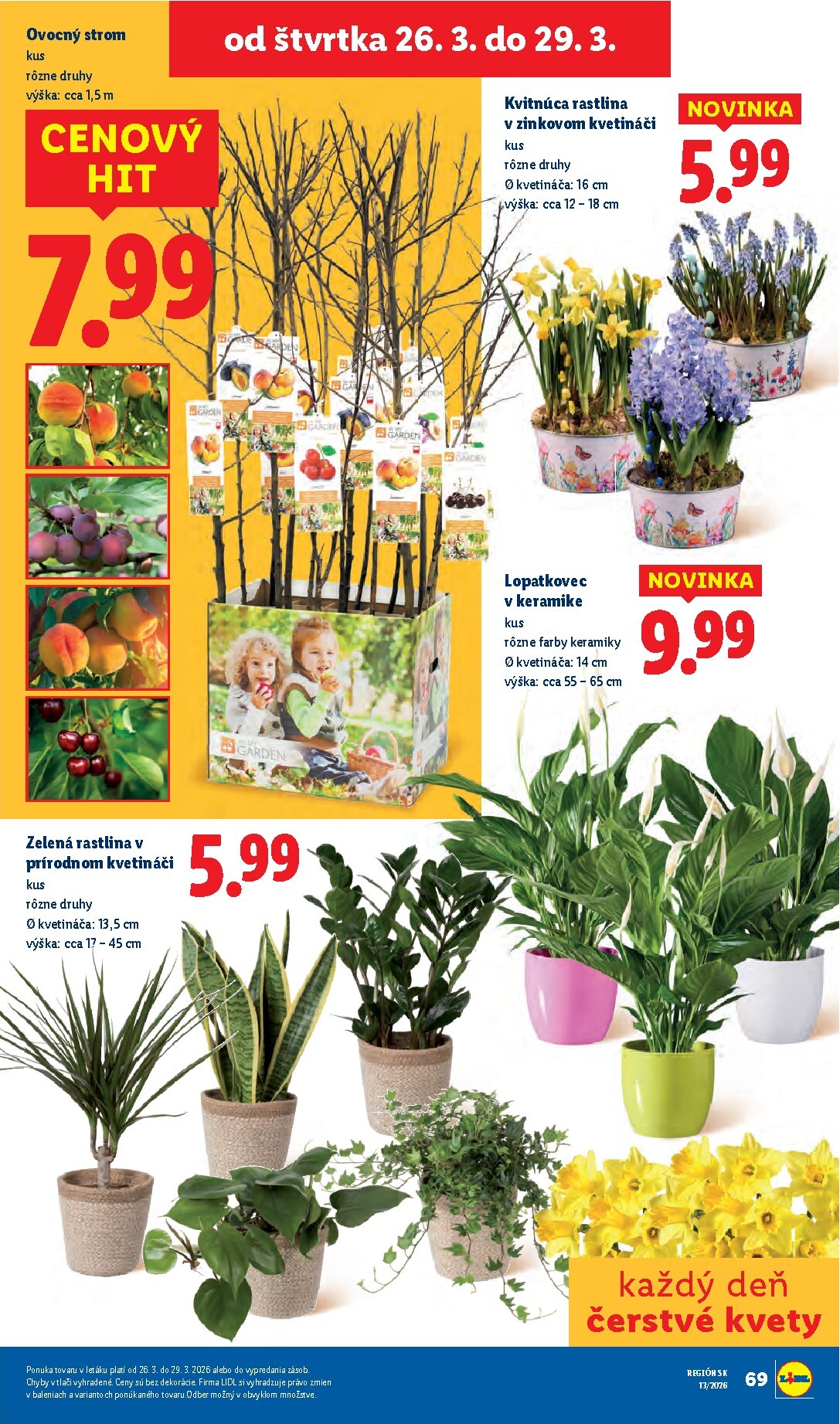 lidl - Leták Lidl platný od 23.03.2026 do 29.03.2026 - page: 80