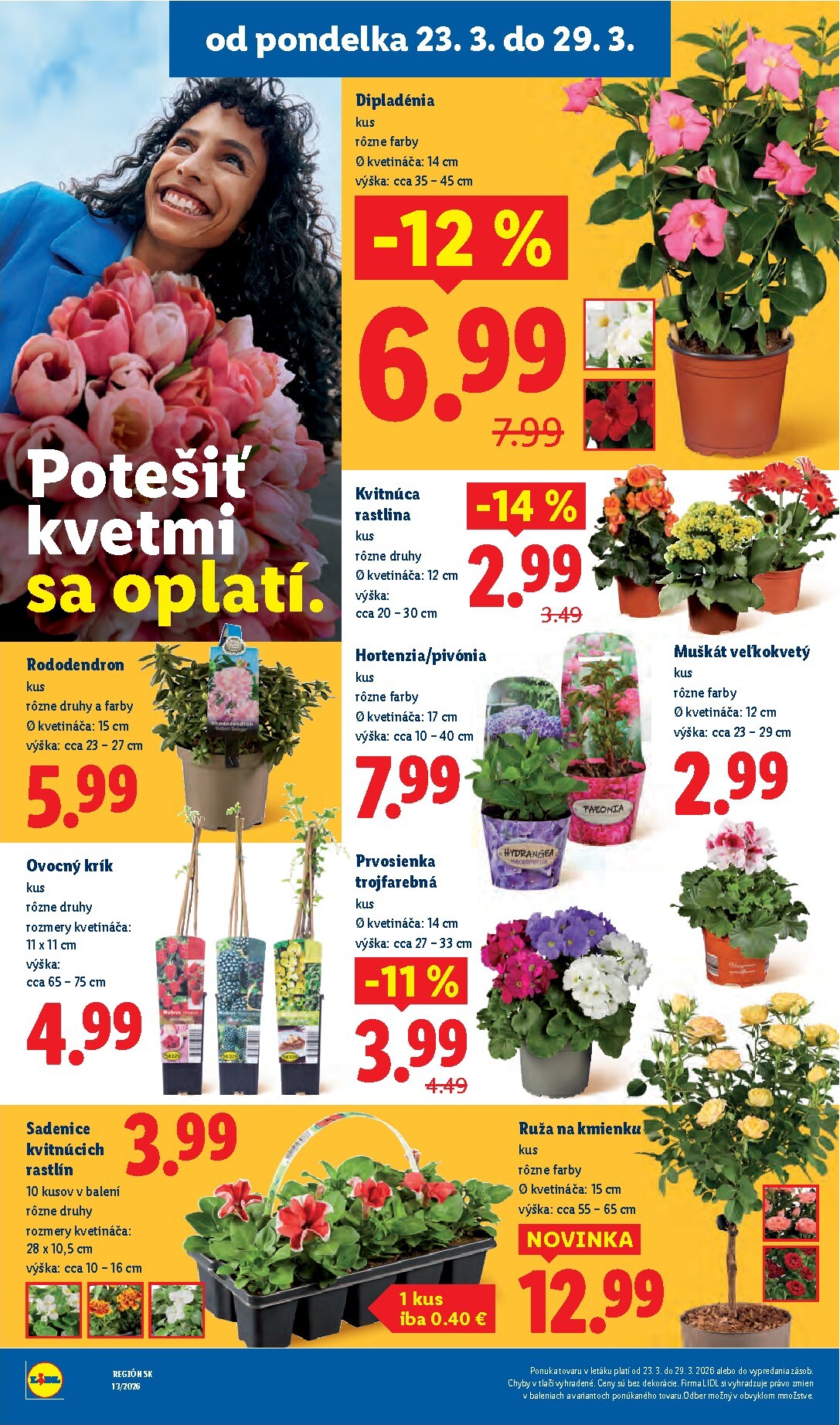 lidl - Leták Lidl platný od 23.03.2026 do 29.03.2026 - page: 39