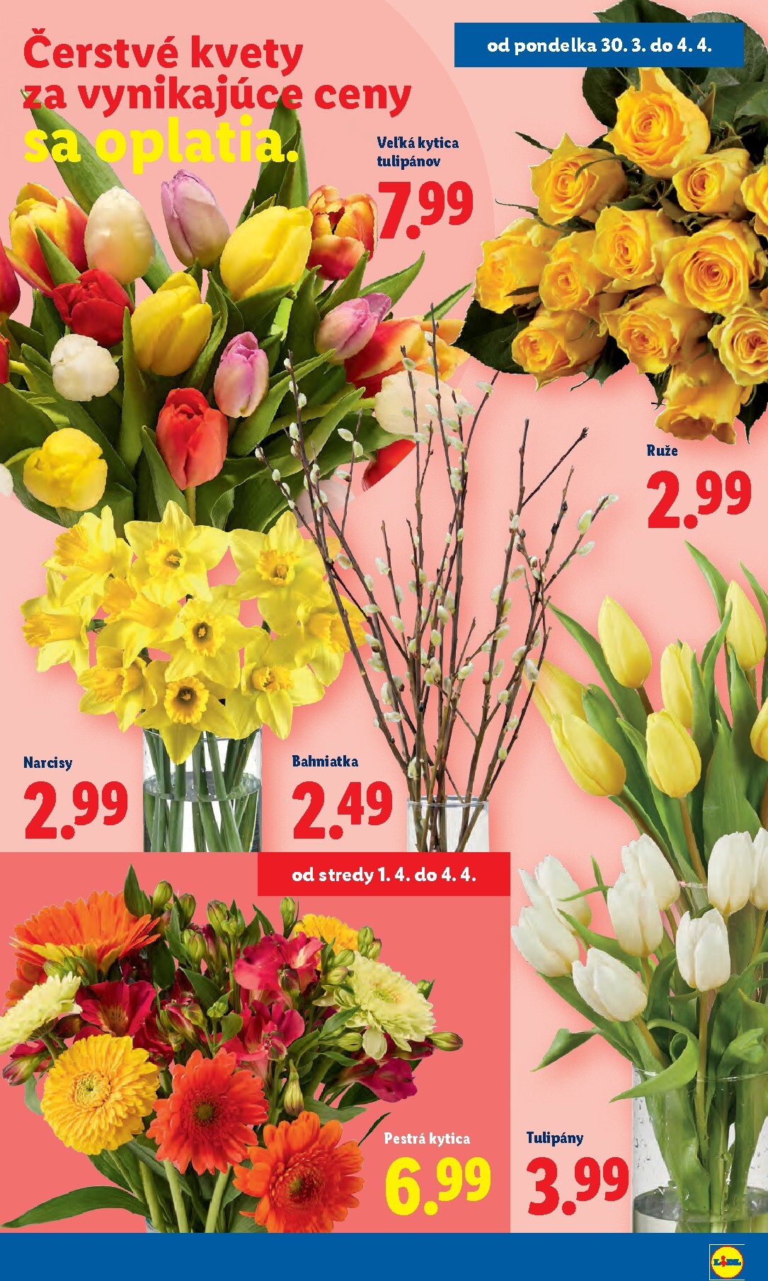 lidl - Leták Lidl platný od 30.03.2026 do 04.04.2026 - page: 53