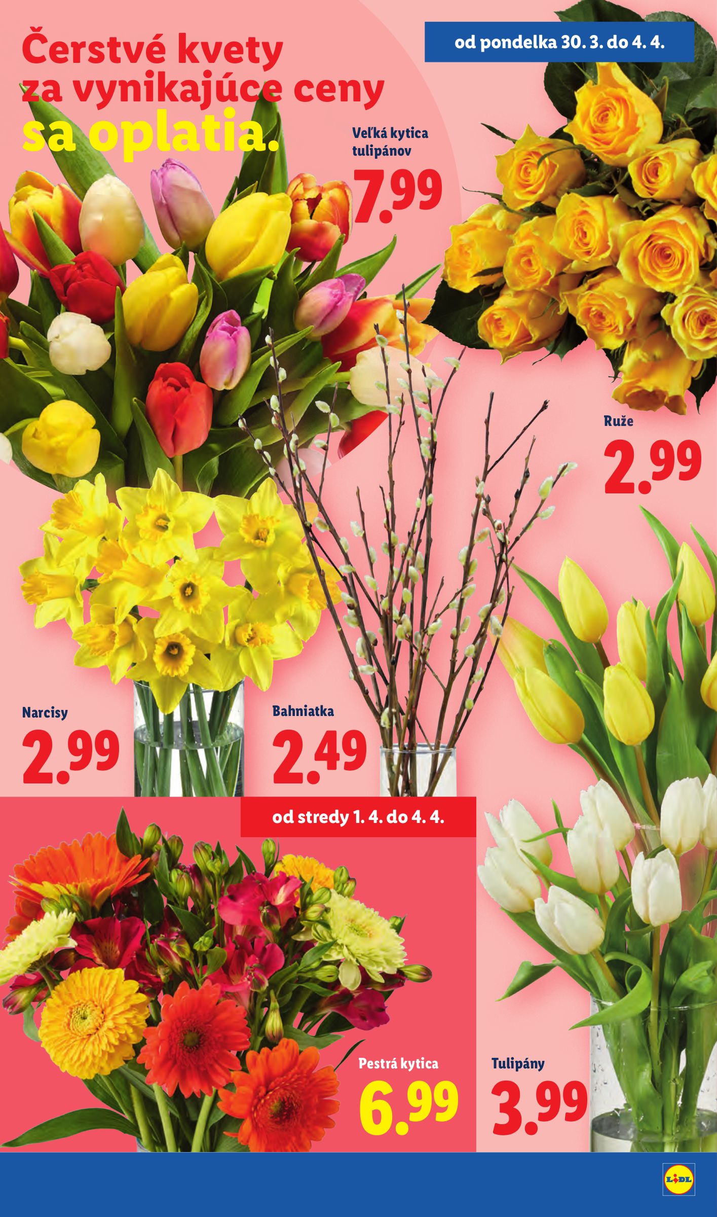 lidl - Leták Lidl platný od 01.04.2026 do 04.04.2026 - page: 47