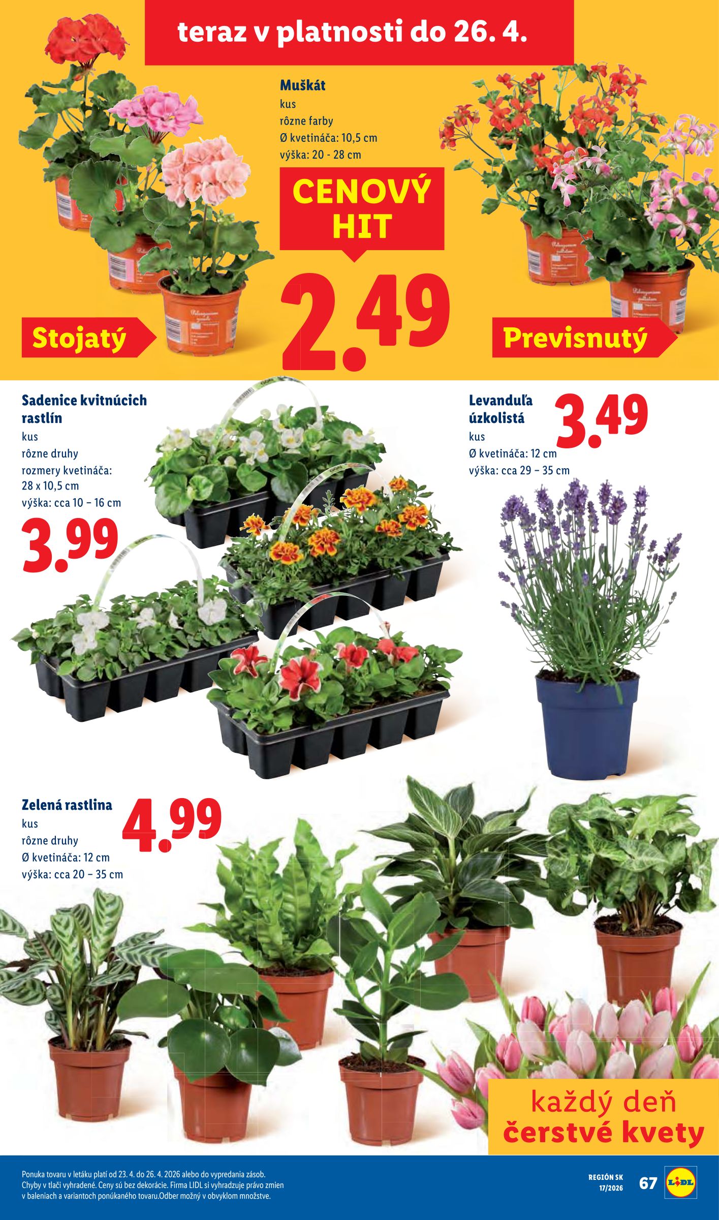 lidl - Aktuálny leták Lidl od pondelka, 20.04.2026 do nedele, 26.04.2026 - page: 74