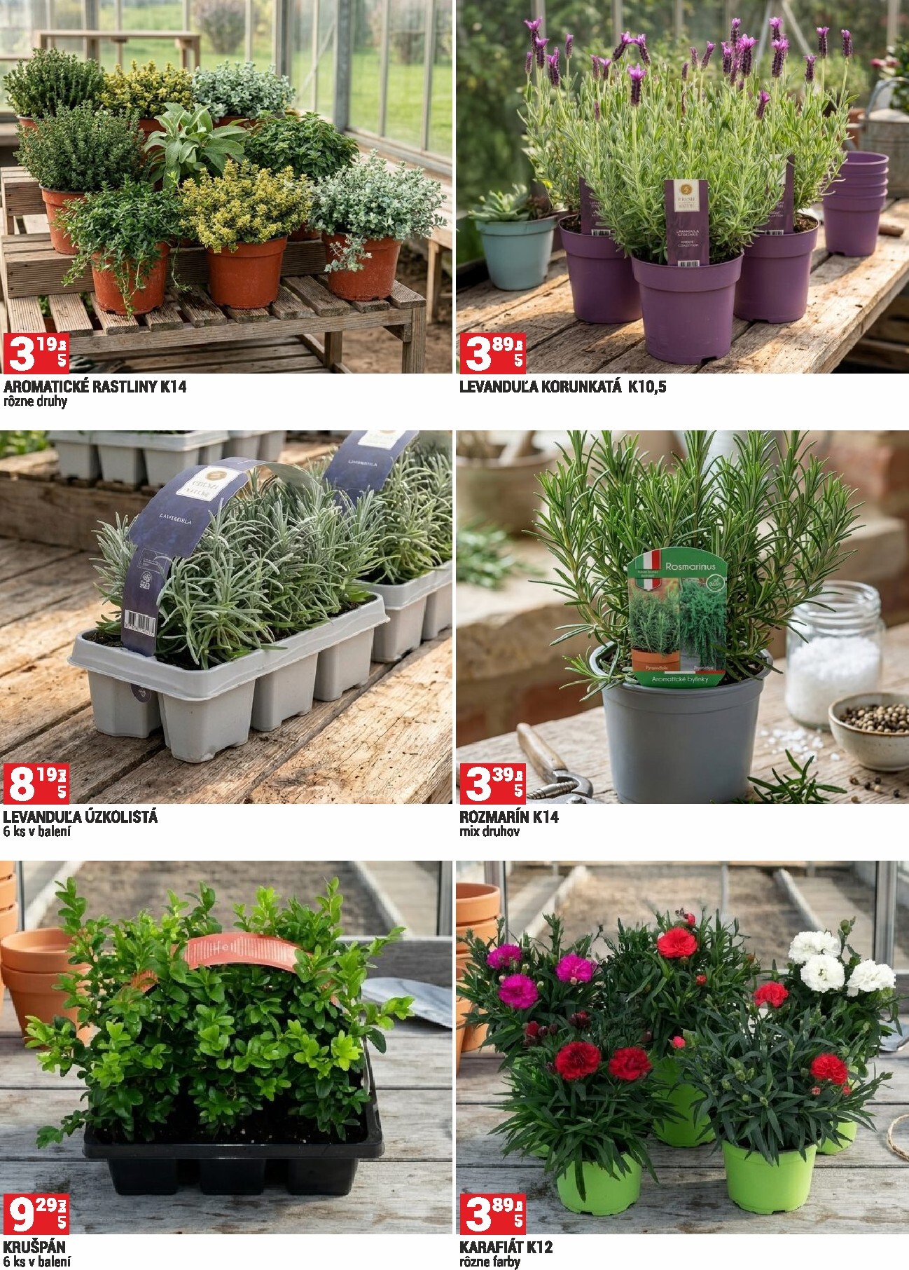 merkury-market - Leták Merkury Market - Záhrada platný od 01.04.2026 do 30.04.2026 - page: 3