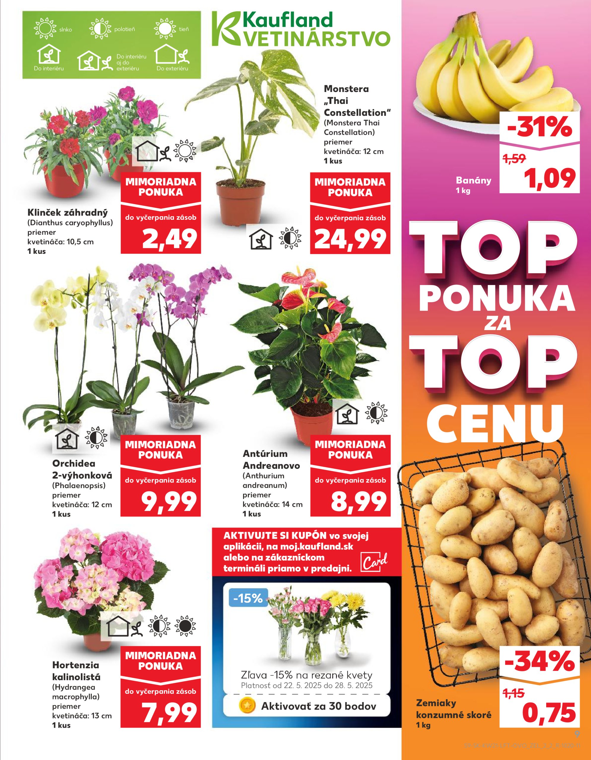 kaufland - Kaufland leták platný od 22.05. - 28.05. - page: 9 kaufland - Kaufland leták platný od 22.05. - 28.05. - page: 9