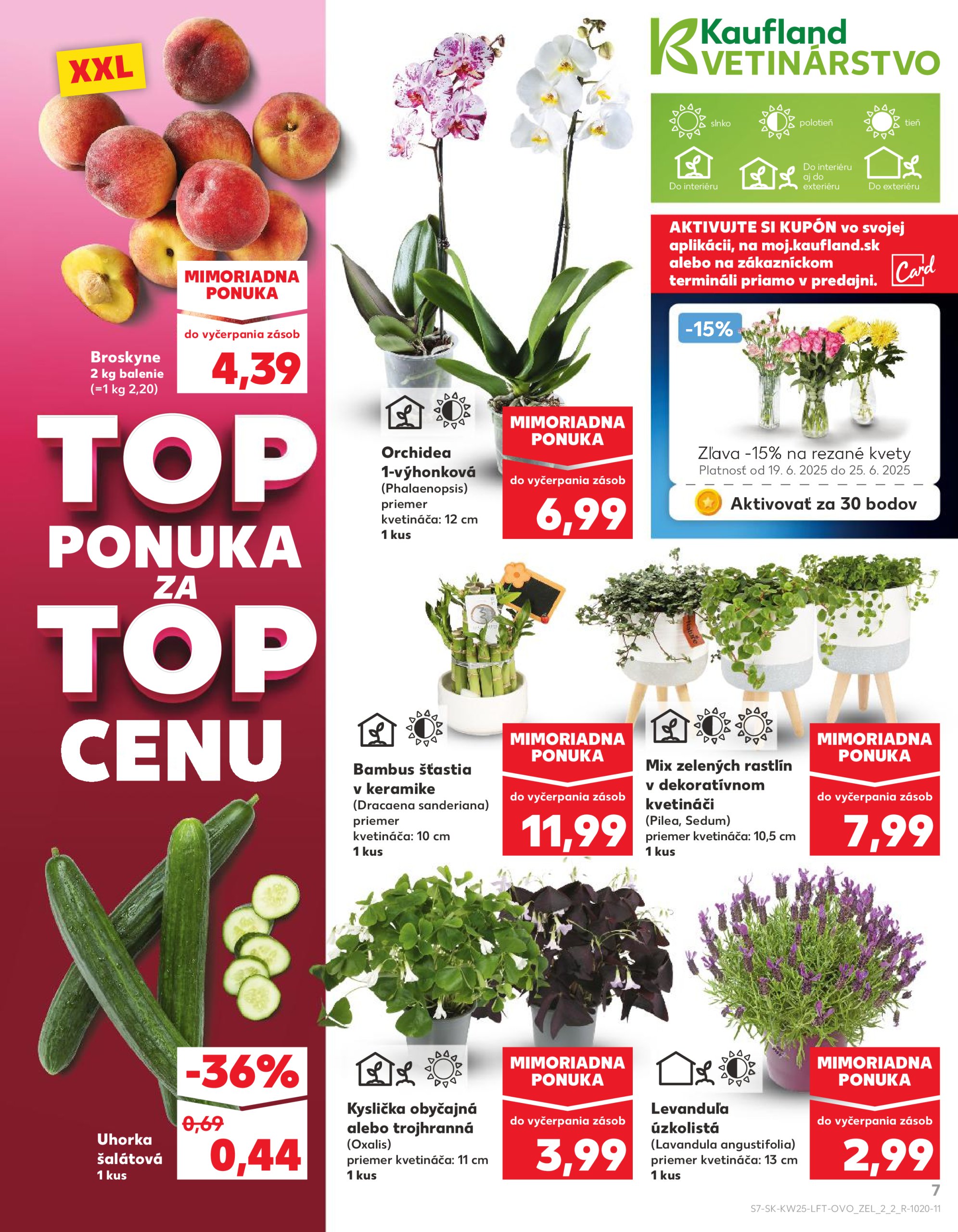 kaufland - Leták Kaufland platný od 19.06. do 25.06. - page: 7 kaufland - Leták Kaufland platný od 19.06. do 25.06. - page: 7