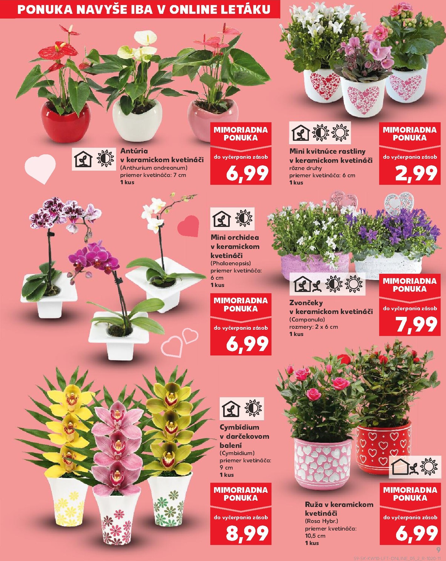 kaufland - Leták Kaufland platný od 05.03.2026 do 11.03.2026 - page: 9