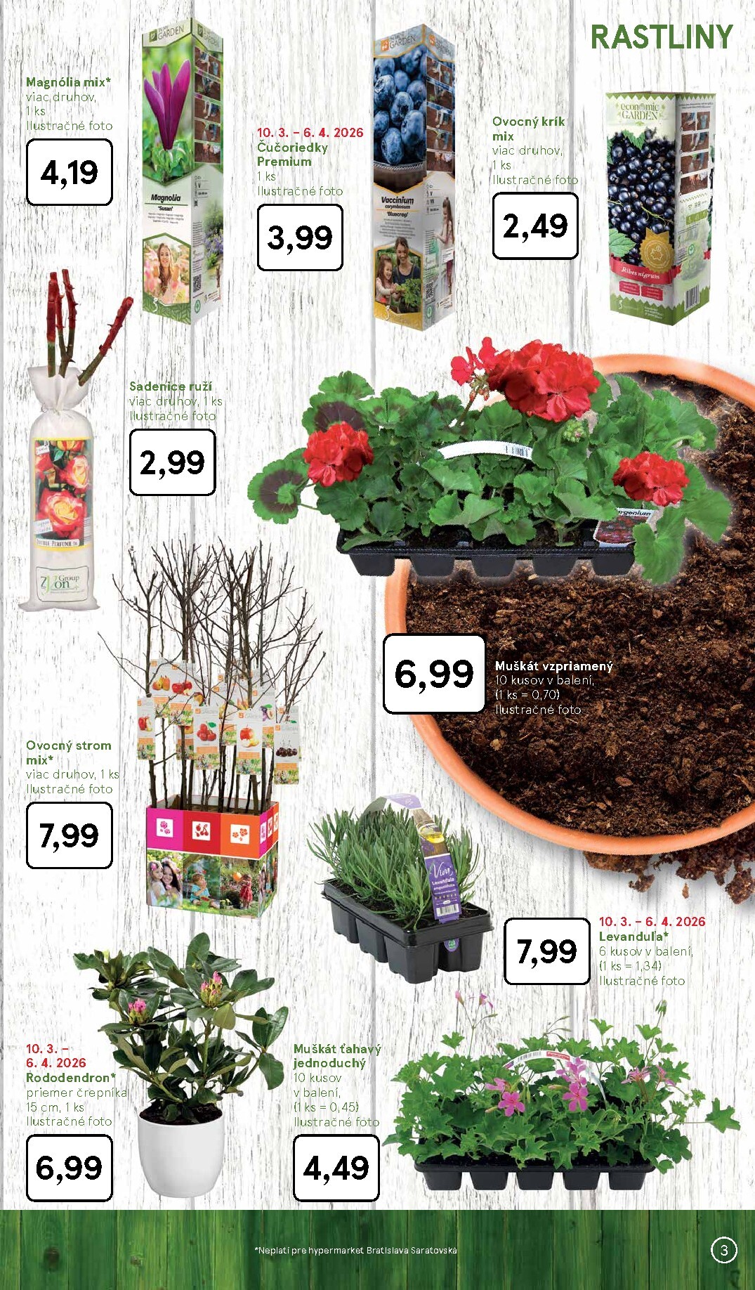 tesco - Leták Tesco - Všetko pre vašu záhradu platný od 03.03.2026 do 06.04.2026 - page: 3