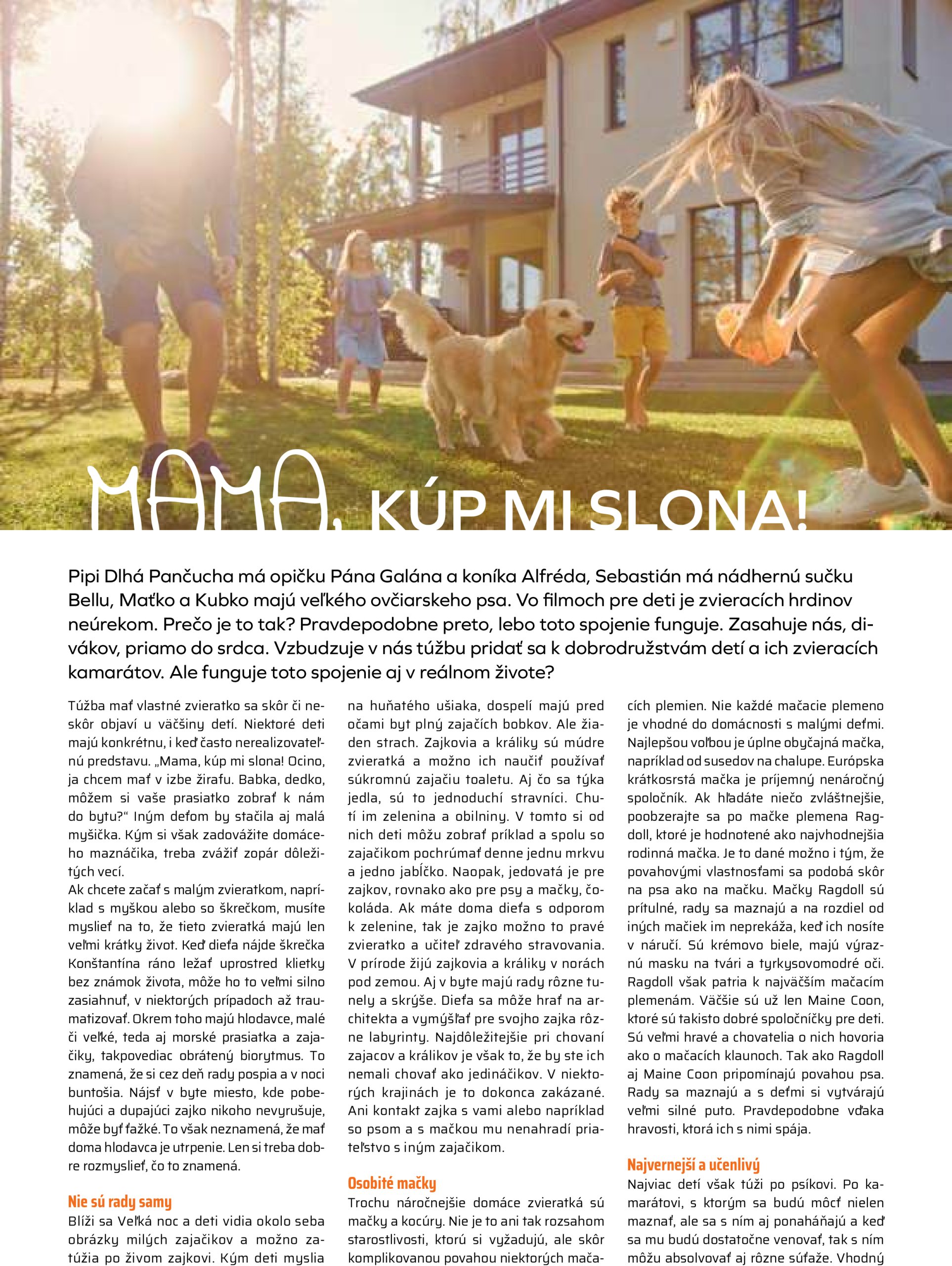 coop-jednota - COOP Jednota - Tempo leták platný od 29.05. - 04.06. - page: 54