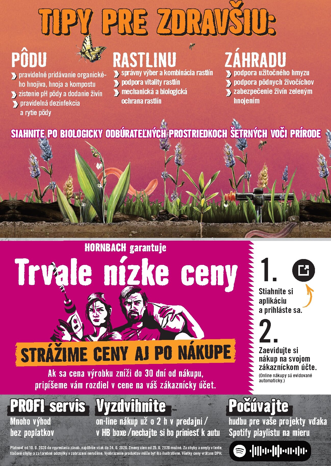 hornbach - Aktuálny HORNBACH - Vonkajšie rastliny leták od stredy, 10.06.2026 do stredy, 24.06.2026 - page: 8