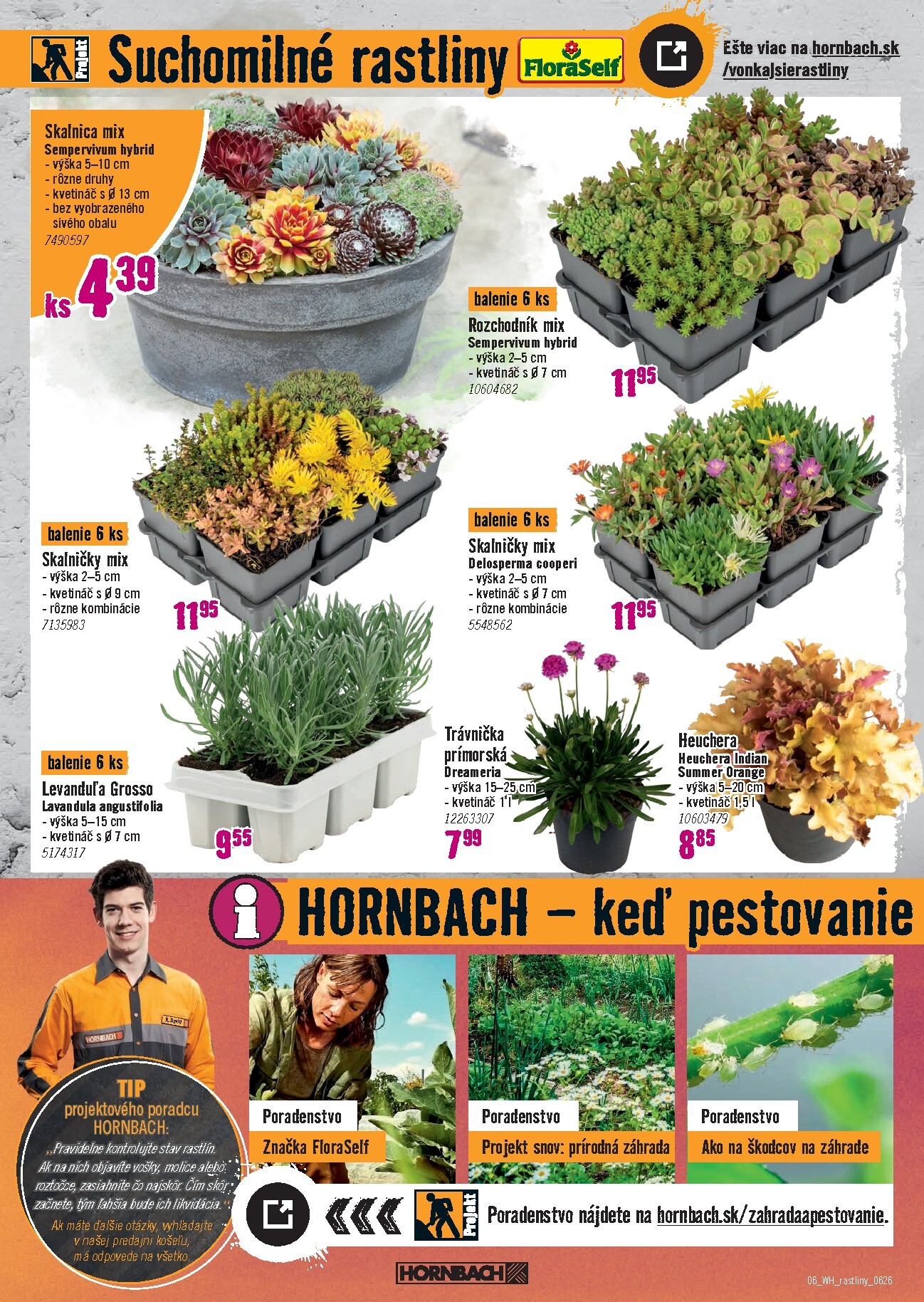 hornbach - Aktuálny HORNBACH - Vonkajšie rastliny leták od stredy, 10.06.2026 do stredy, 24.06.2026 - page: 6