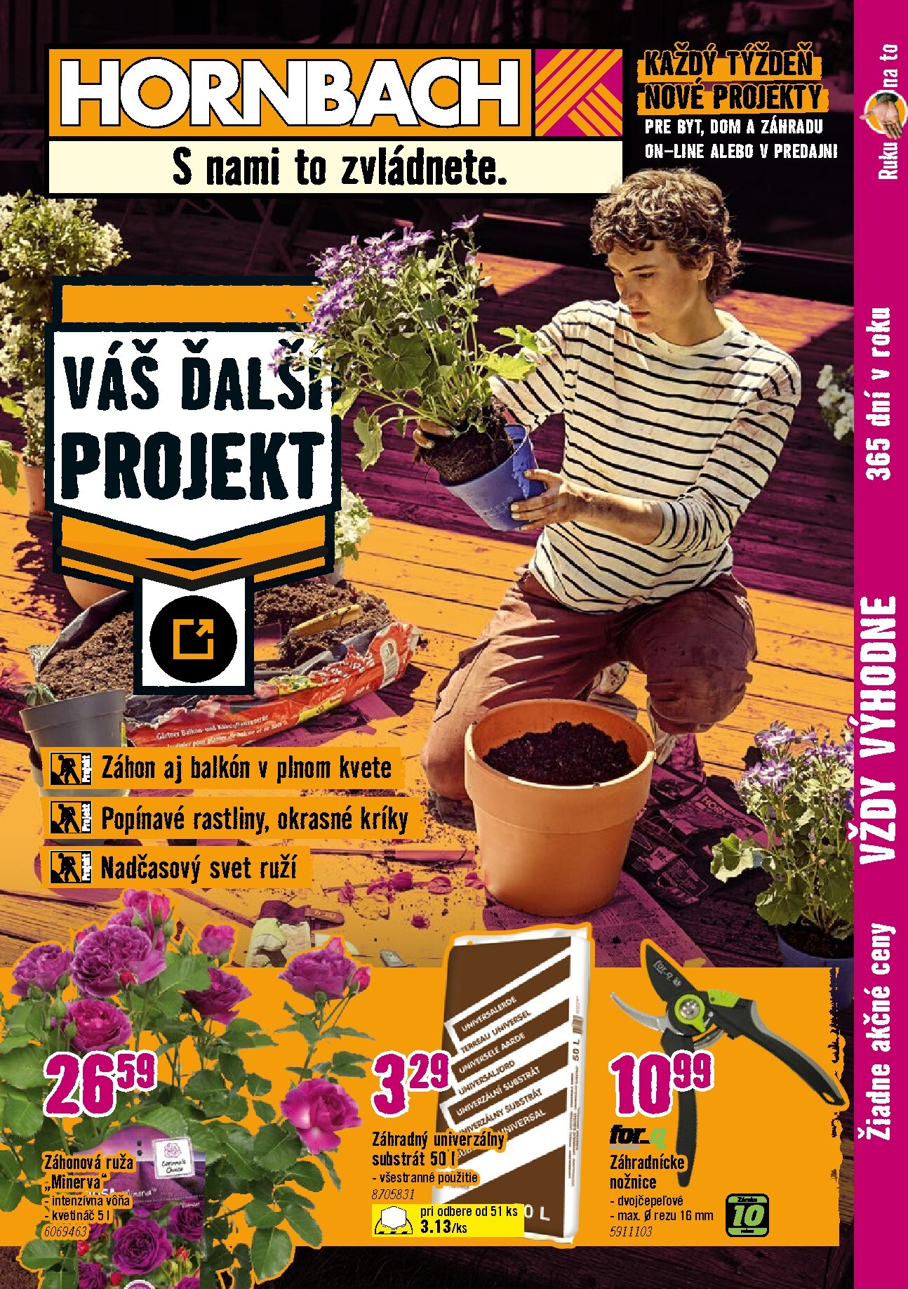 hornbach - Aktuálny HORNBACH - Záhony, popínavé rastliny, nadčasový svet ruží leták od stredy, 15.07.2026 do stredy, 29.07.2026 - page: 1