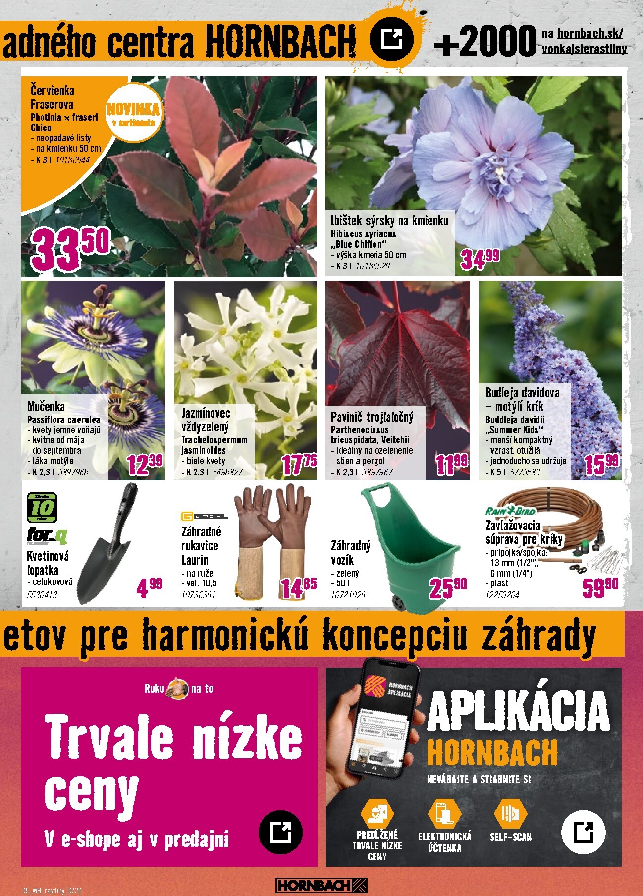 hornbach - Aktuálny HORNBACH - Záhony, popínavé rastliny, nadčasový svet ruží leták od stredy, 15.07.2026 do stredy, 29.07.2026 - page: 5