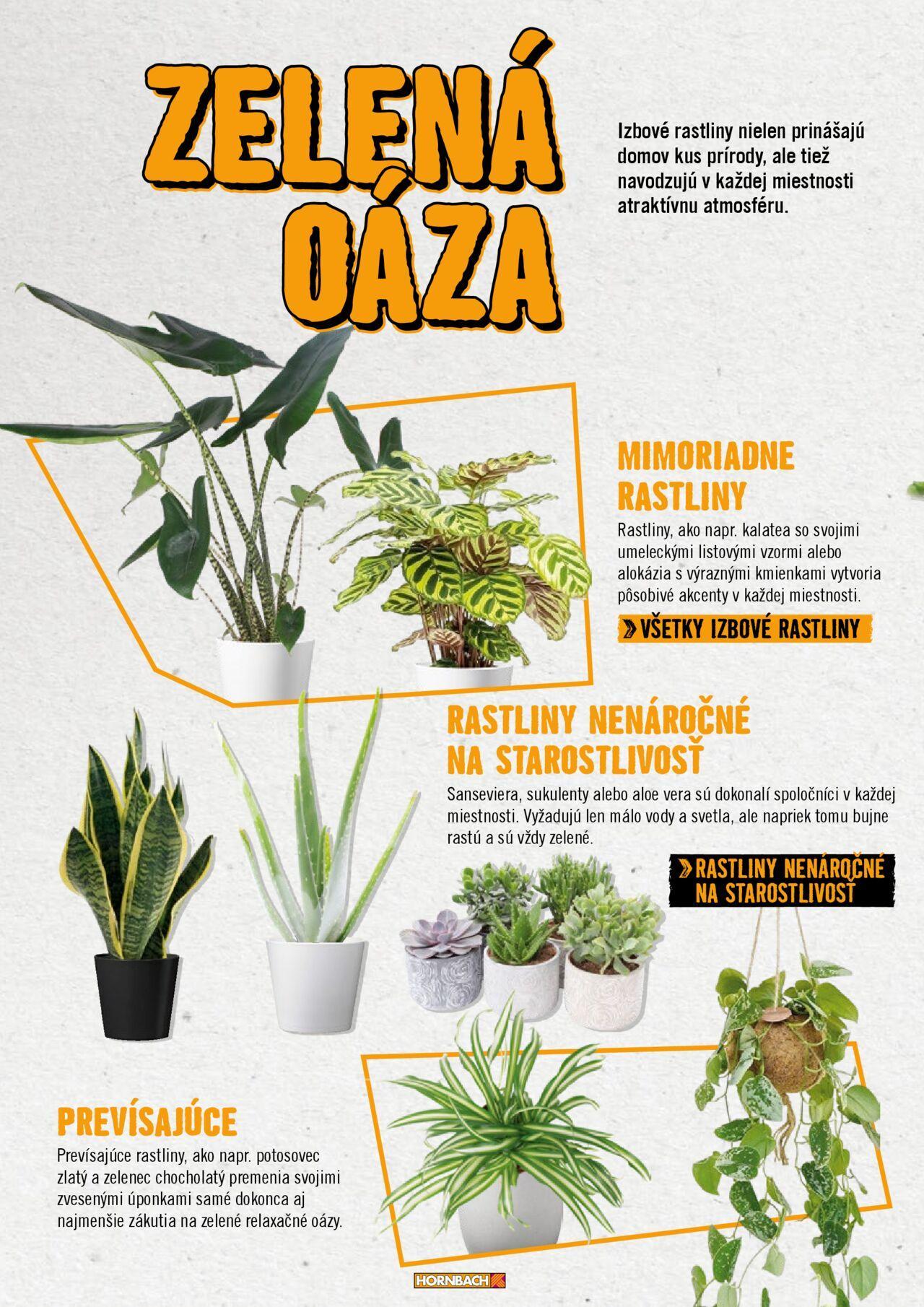 hornbach - Hornbach bývanie od pondelka 14.10.2024 - page: 24 hornbach - Hornbach bývanie od pondelka 14.10.2024 - page: 24