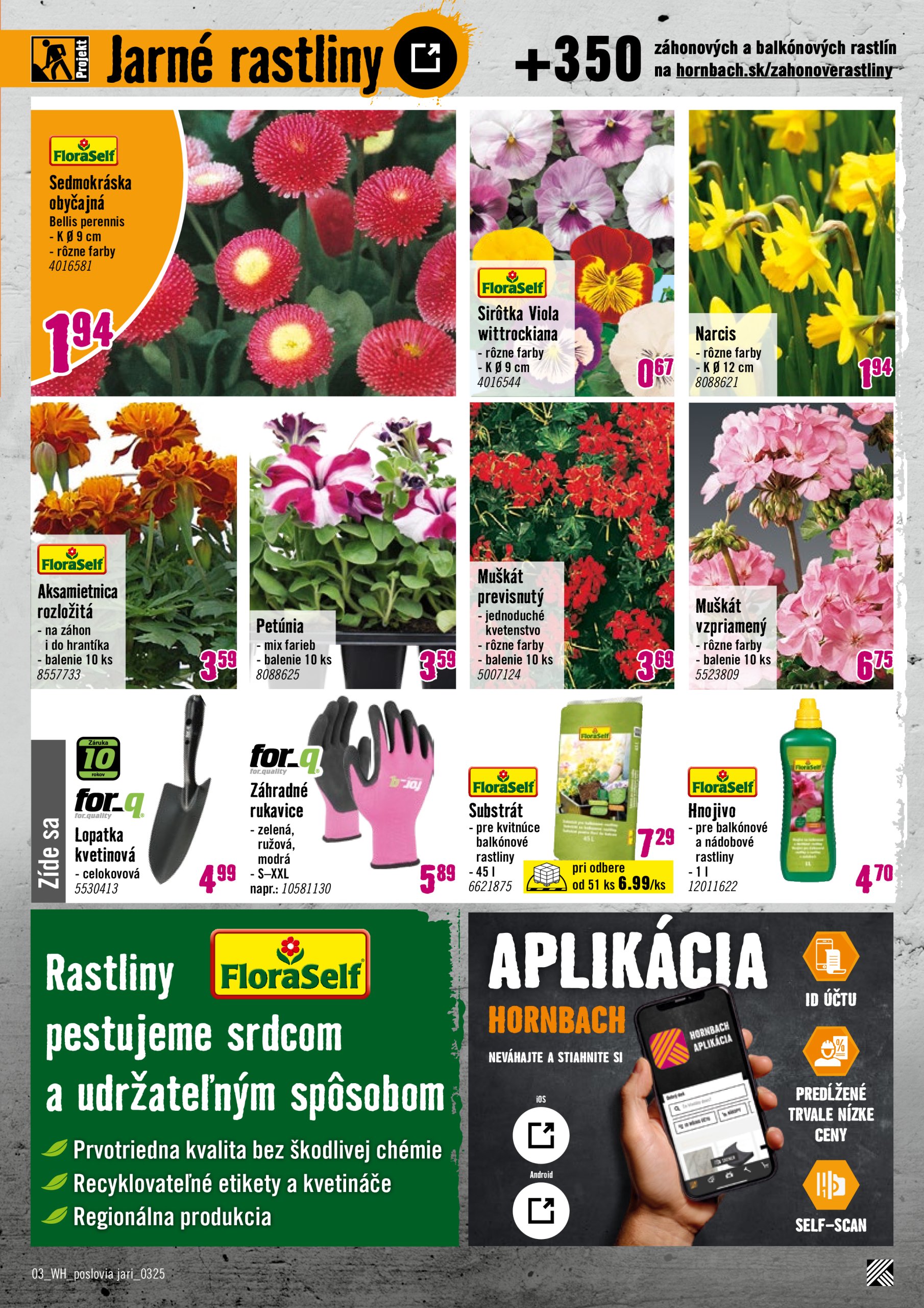 hornbach - HORNBACH leták platný od 05.03. - 19.03. - page: 3