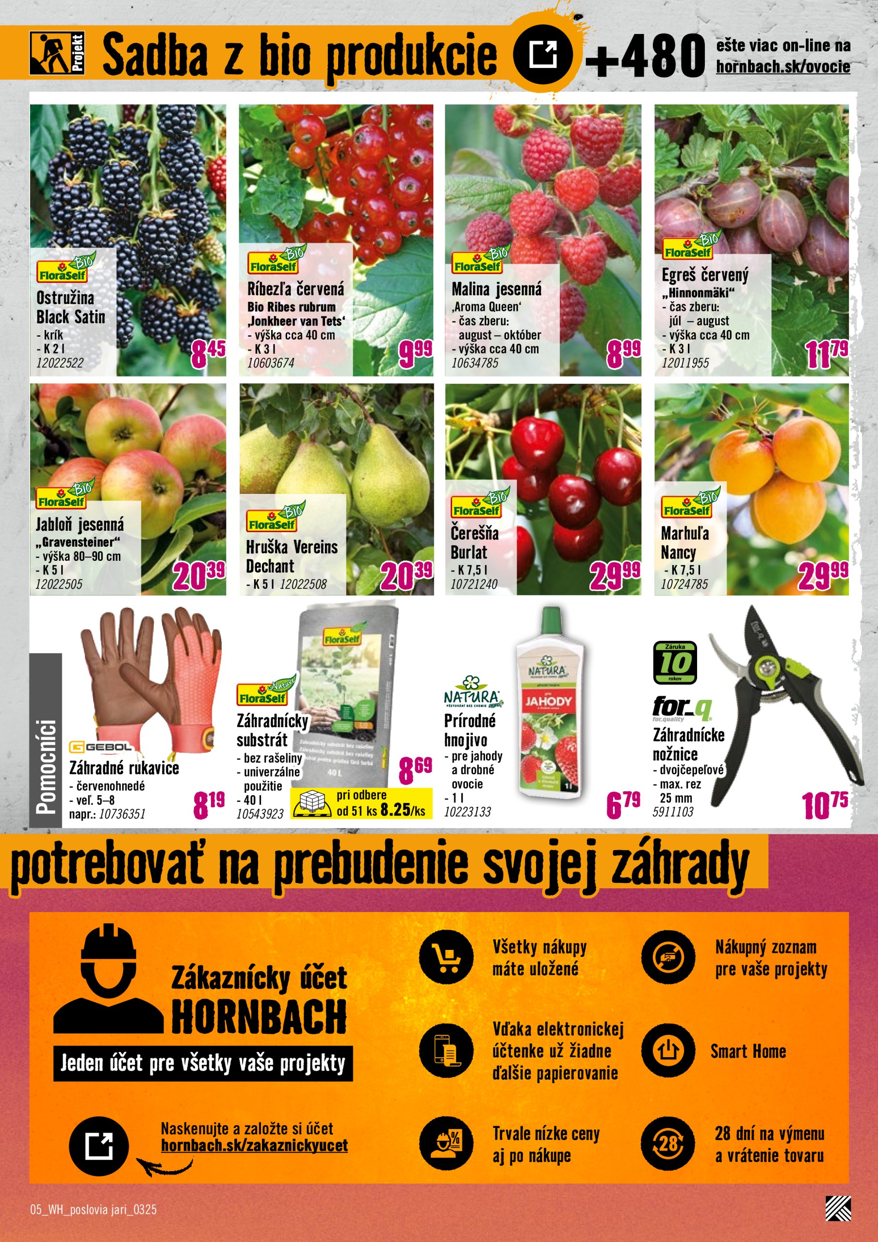 hornbach - HORNBACH leták platný od 05.03. - 19.03. - page: 5