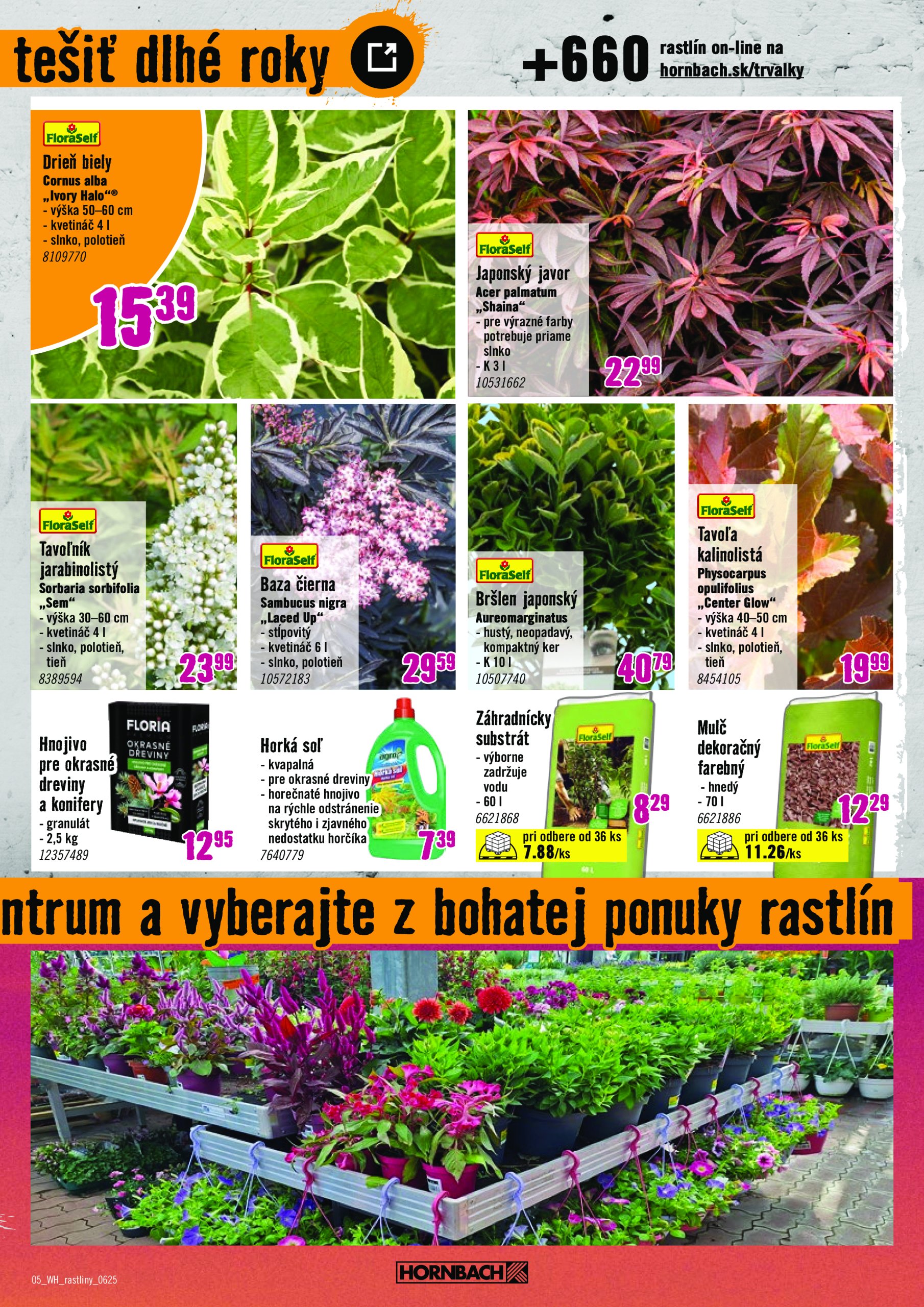 hornbach - Leták HORNBACH - Okrasné rastliny platný od 11.06. do 25.06. - page: 5