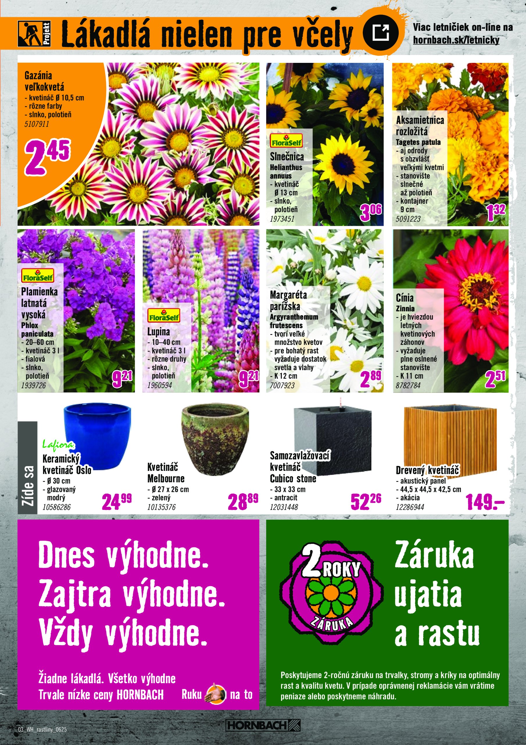 hornbach - Leták HORNBACH - Okrasné rastliny platný od 11.06. do 25.06. - page: 3