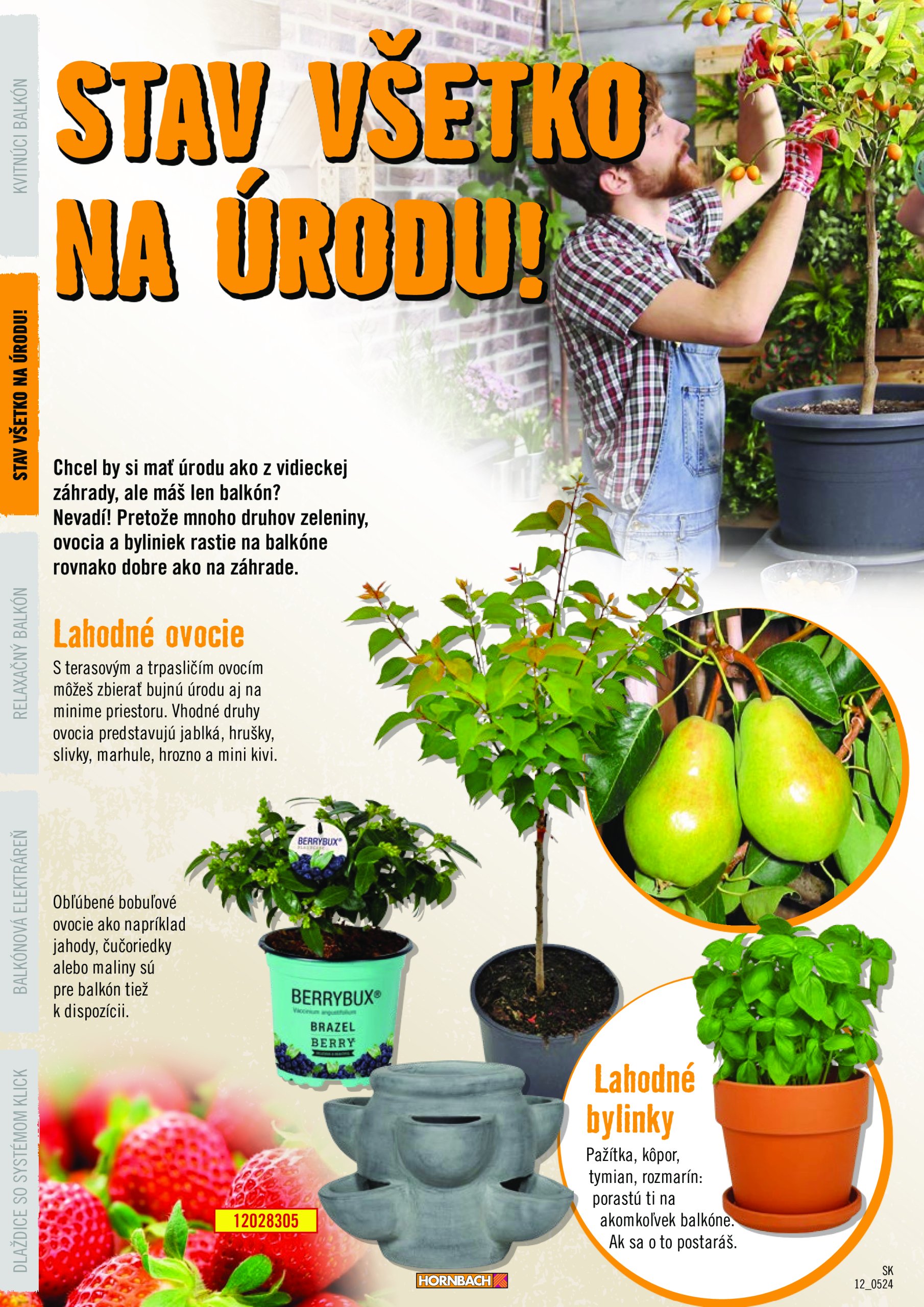 hornbach - Leták HORNBACH - Balkón platný od 01.06. do 31.12. - page: 12