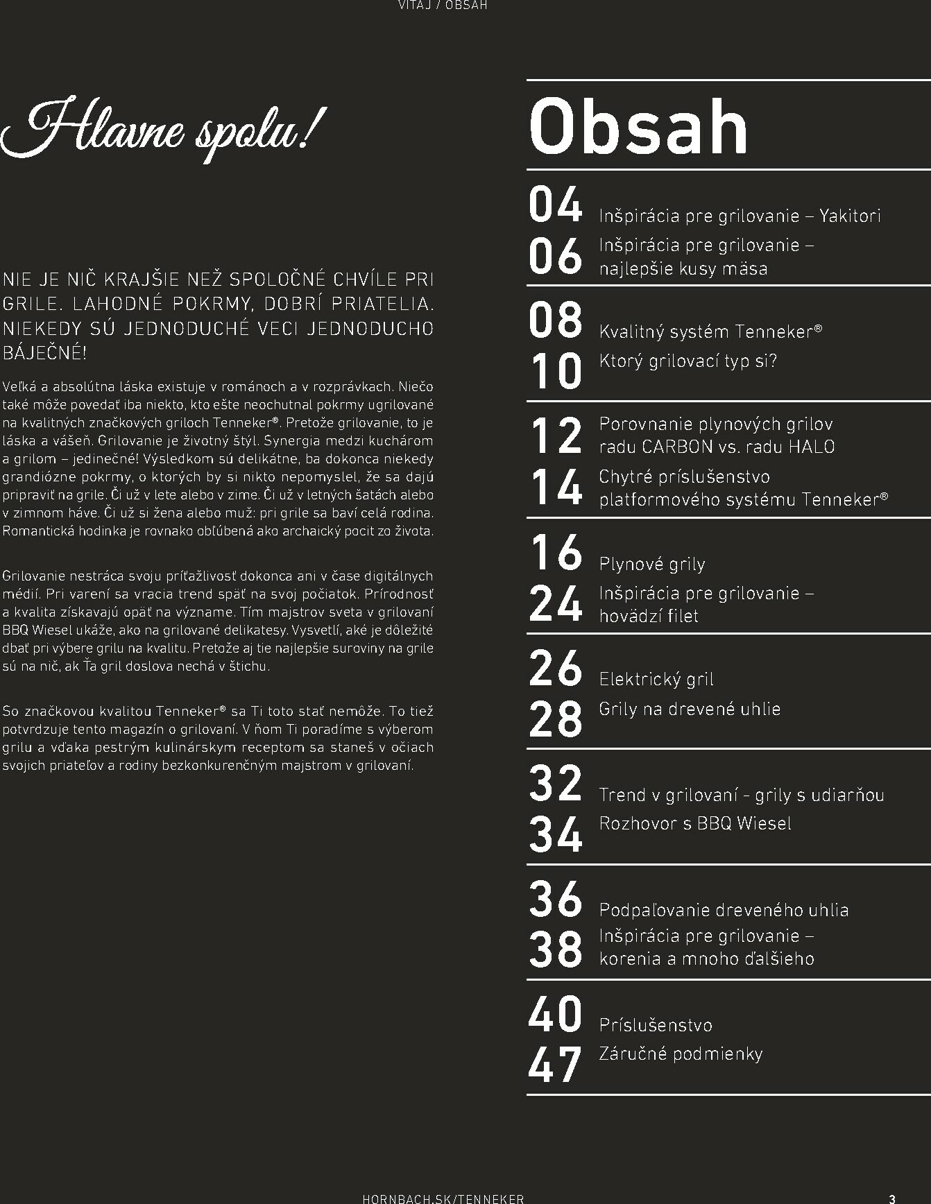 hornbach - Leták HORNBACH - TENNEKER - magazín o grilovaní platný od 01.11. do 31.08. - page: 3