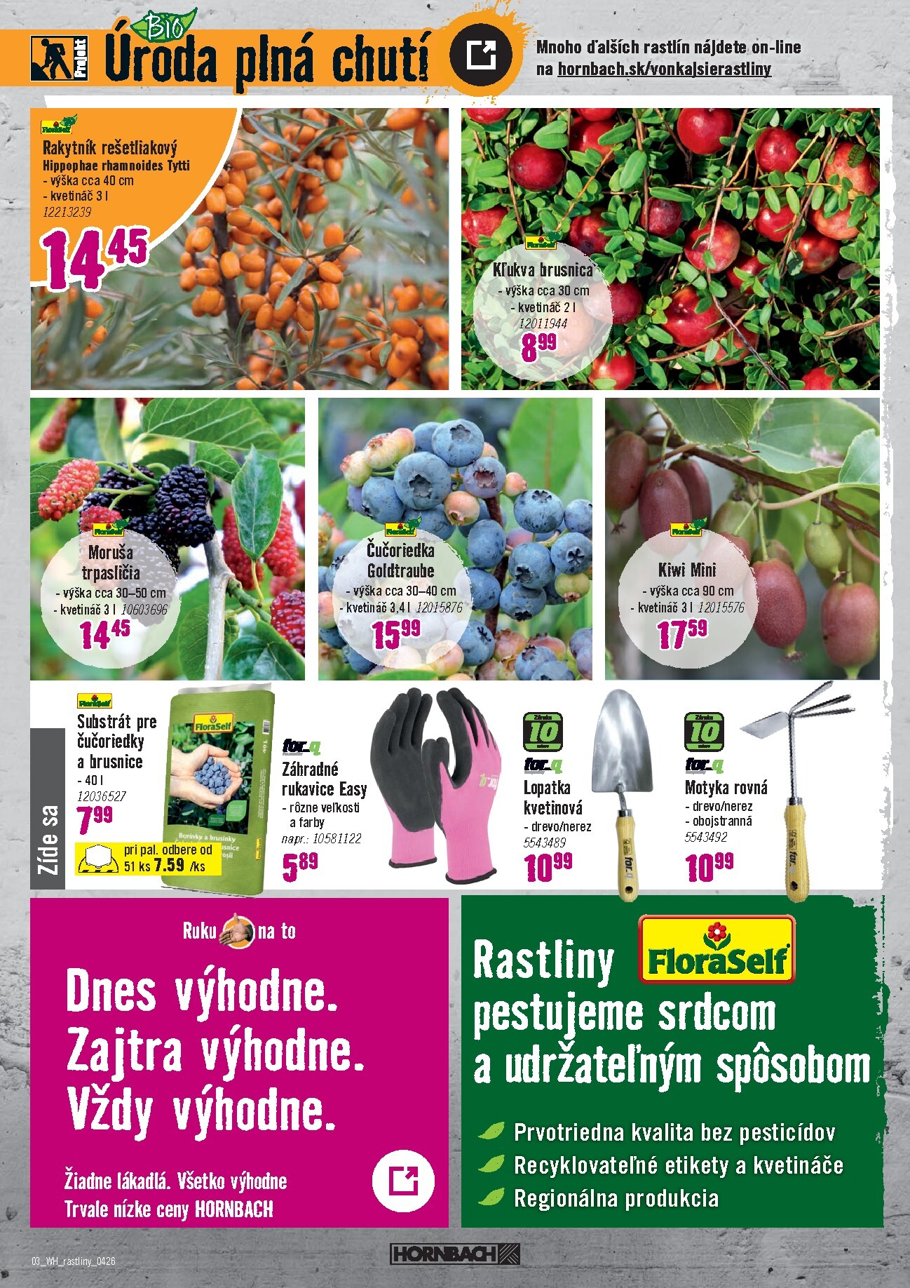 hornbach - Leták HORNBACH - Sezónne rastliny platný od 01.04.2026 do 14.04.2026 - page: 3