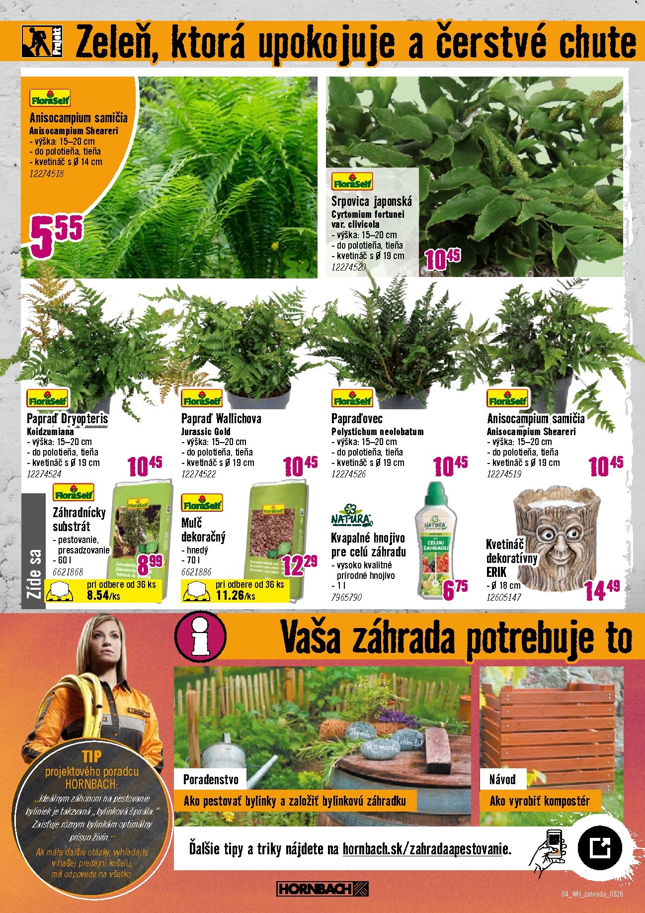 hornbach - Aktuálny leták HORNBACH - Trvalky od stredy, 06.05.2026 do stredy, 20.05.2026 - page: 4