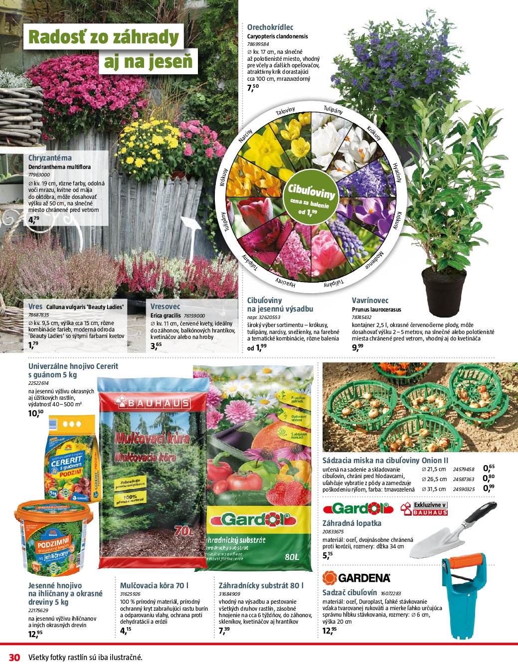 bauhaus - Leták Bauhaus platný od 08.09. do 05.10. - page: 30