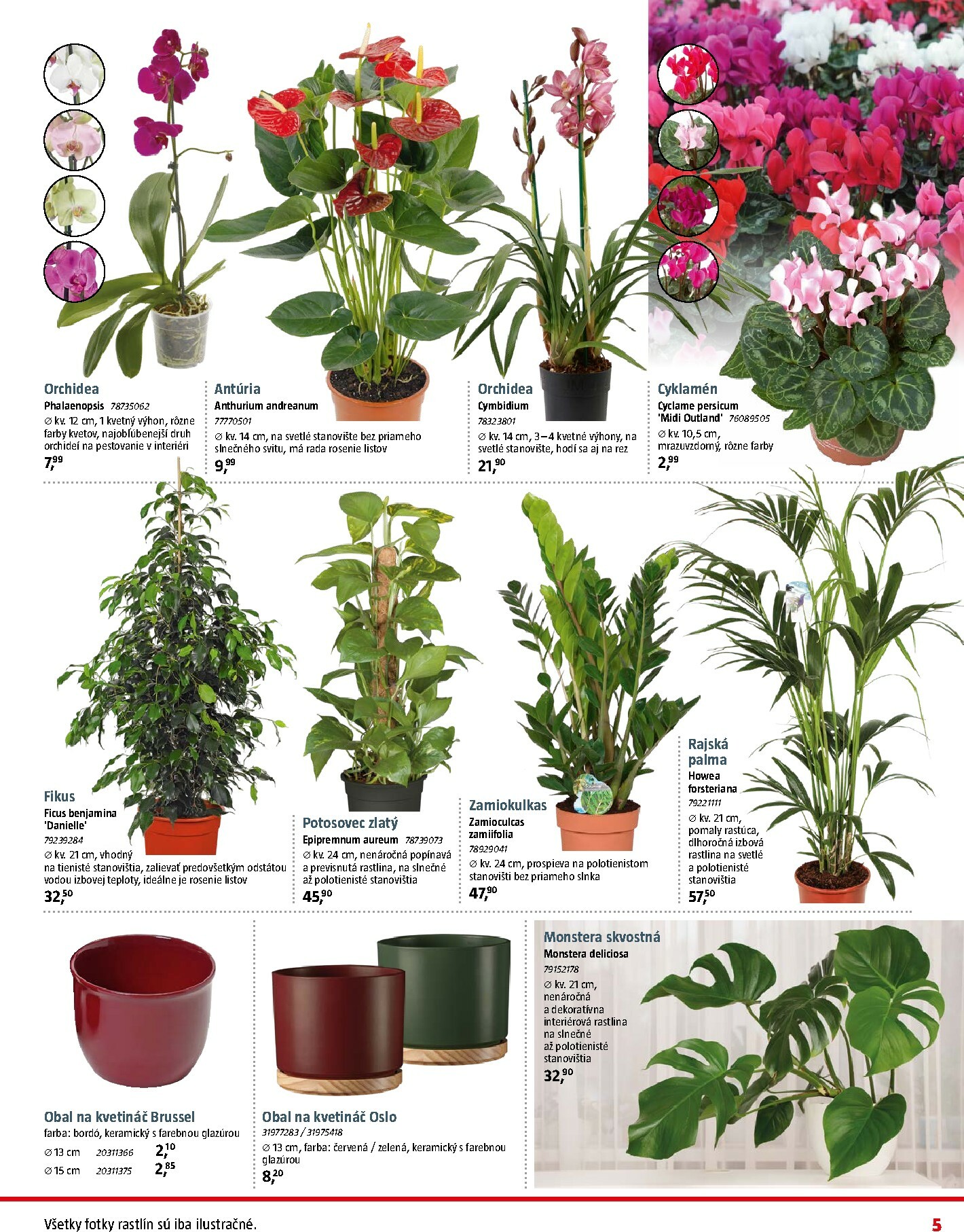 bauhaus - Leták Bauhaus platný od 03.11. do 07.12. - page: 5