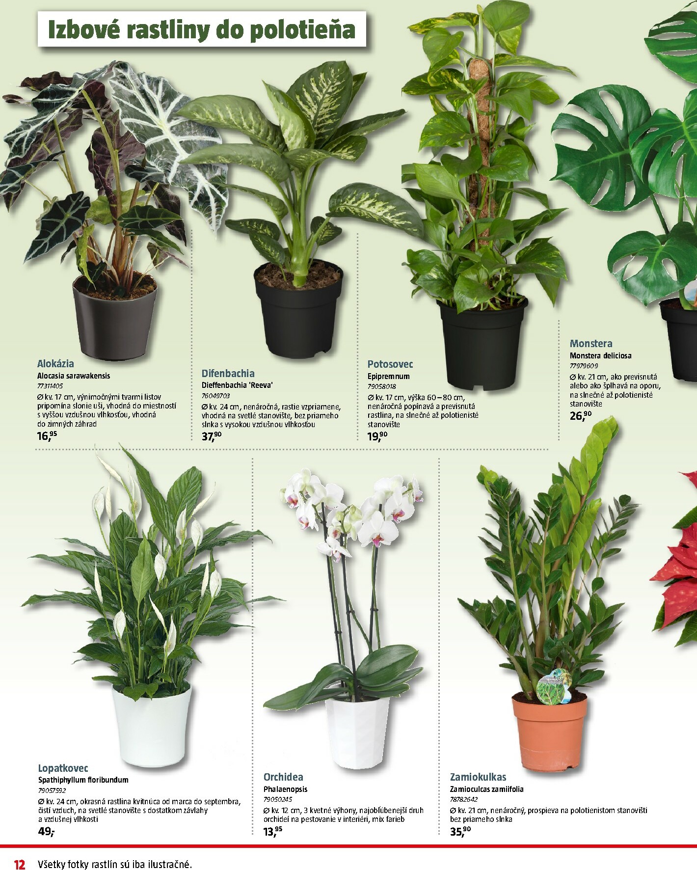 bauhaus - Leták Bauhaus platný od 08.12. do 31.12. - page: 12