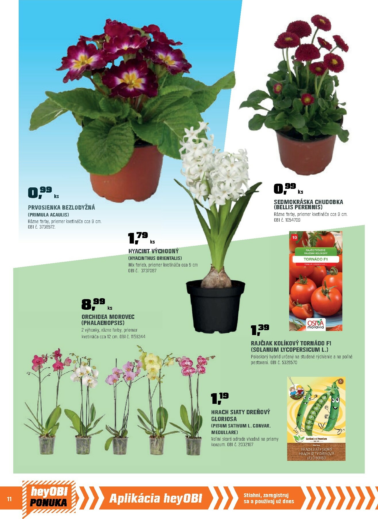 obi - Leták OBI platný od 01.02.2026 do 28.02.2026 - page: 12