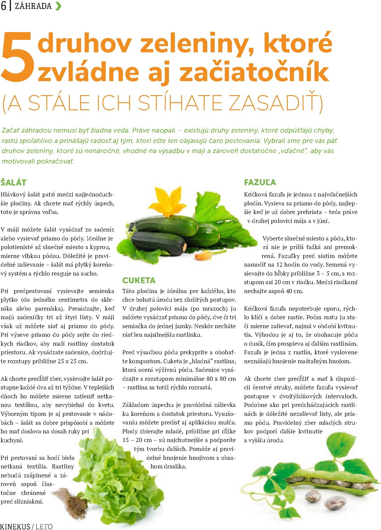kinekus - Aktuálny Kinekus - Magazin Léto leták od štvrtka, 11.06.2026 do pondelka, 31.08.2026 - page: 6