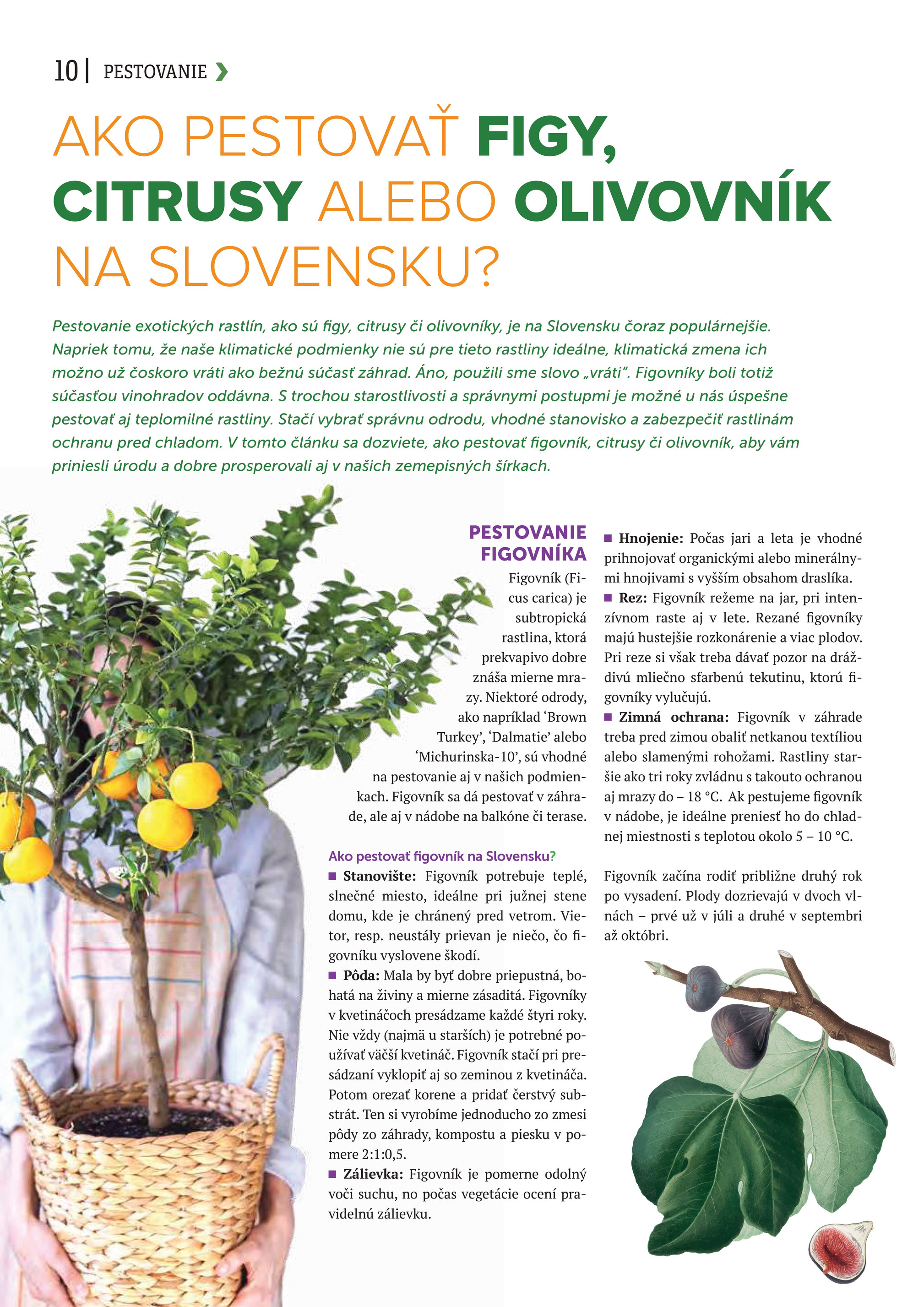 kinekus - Leták Kinekus - K-magazín LETO 2025 platný od 11.06. do 31.08. - page: 10