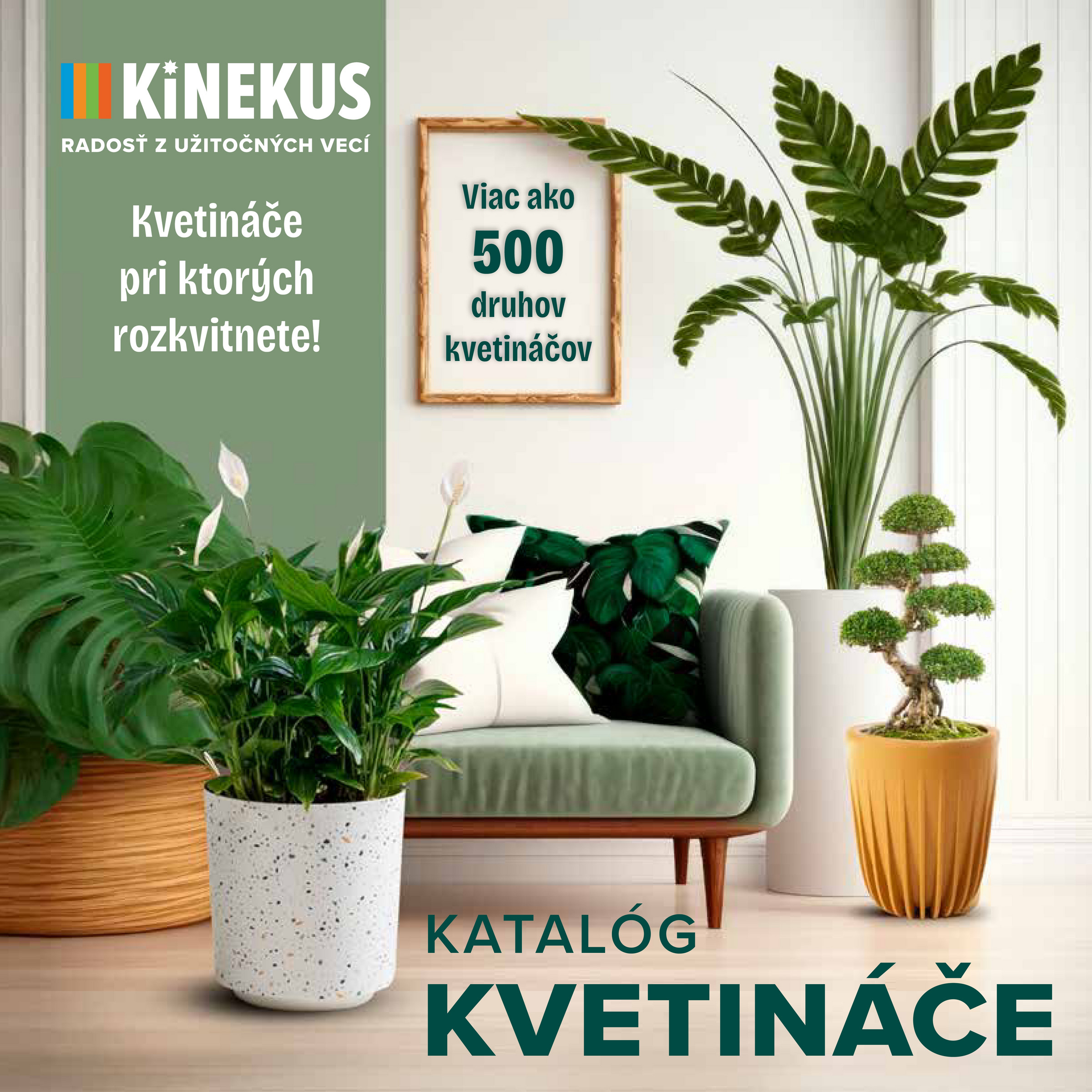 kinekus - Leták Kinekus - Katalóg Kvetináče platný od 11.06. do 30.06.