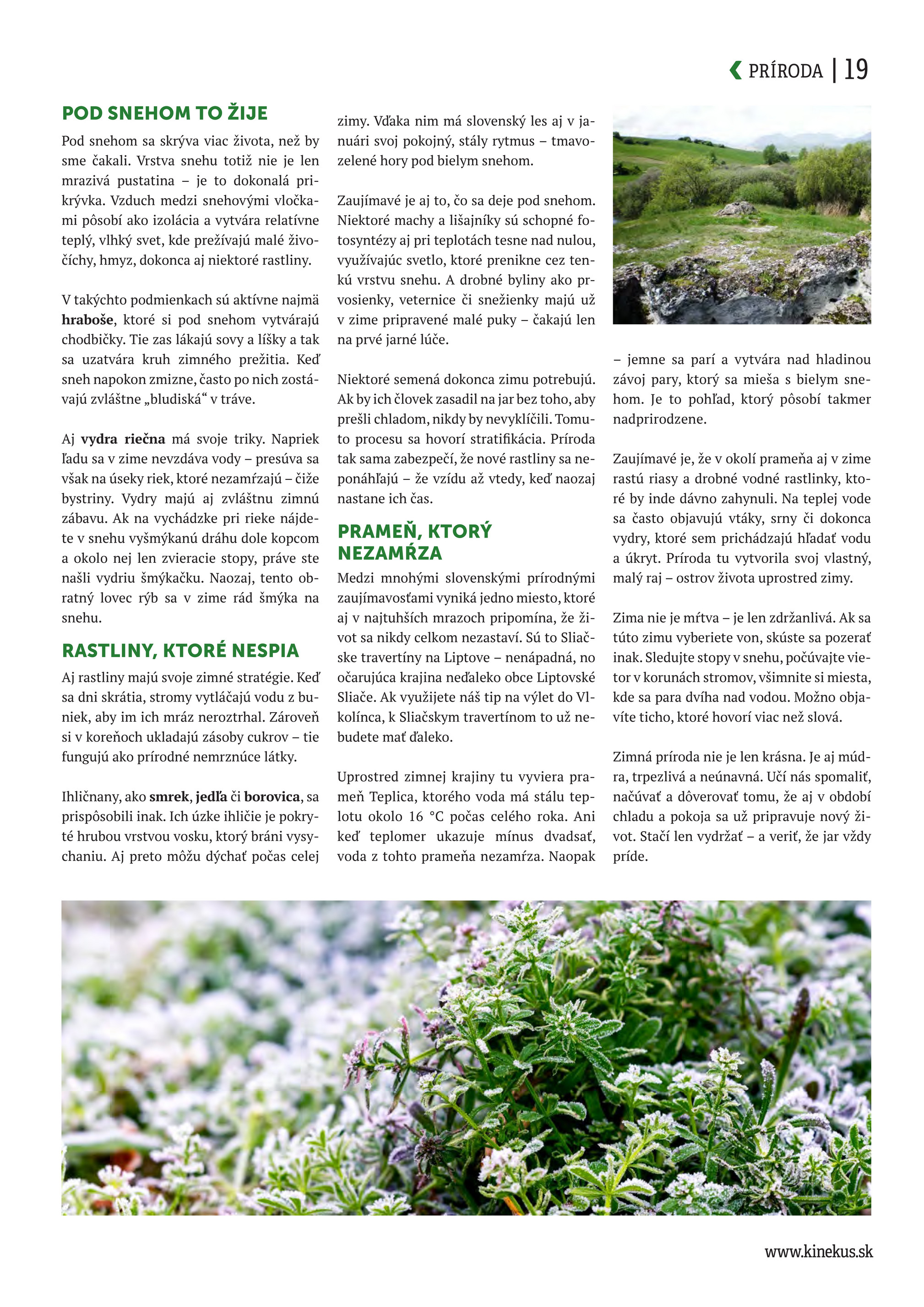 kinekus - Leták Kinekus - K-Magazín Zima 2025 platný od 27.11. do 31.12. - page: 19
