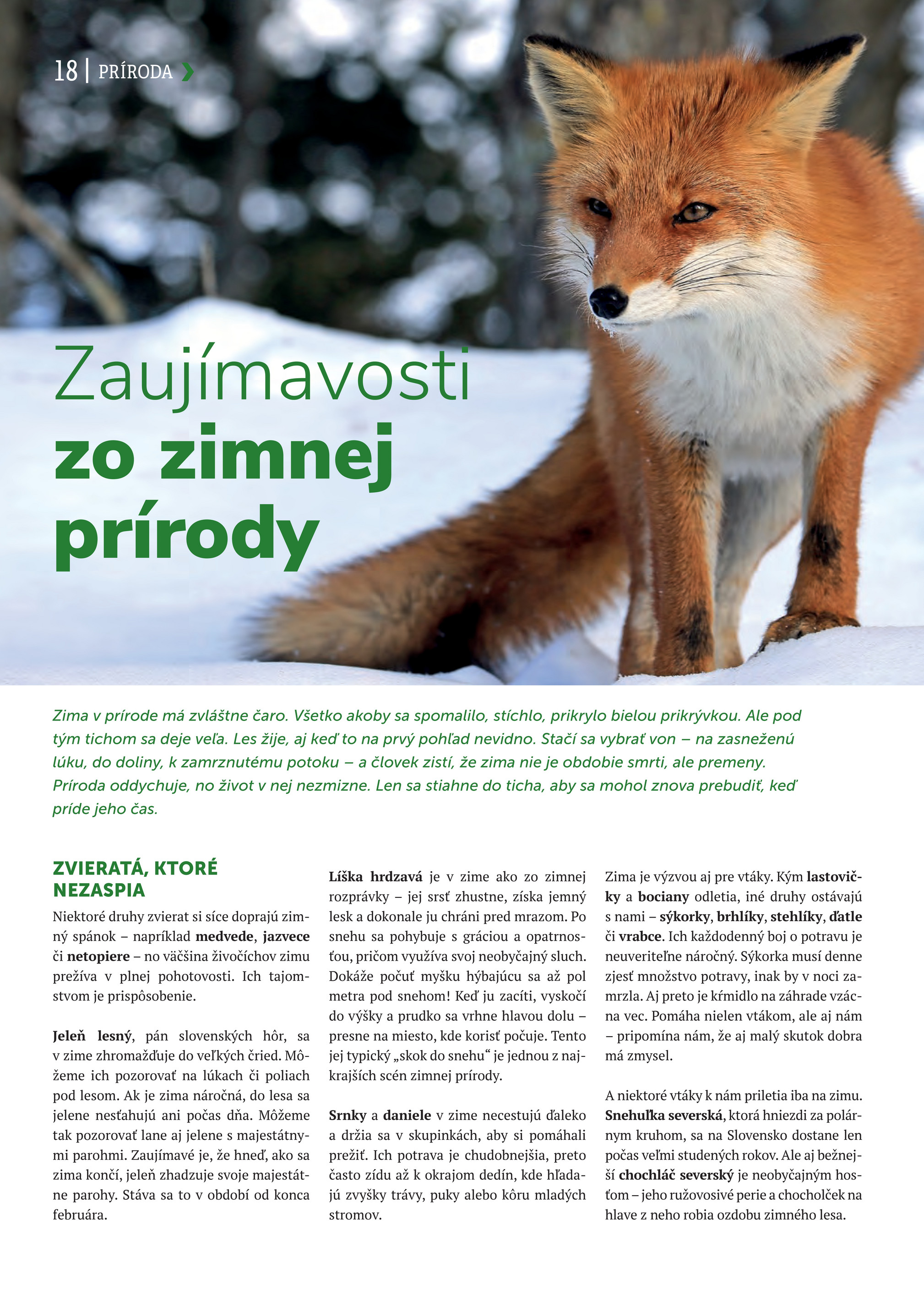 kinekus - Leták Kinekus - K-Magazín Zima 2025 platný od 27.11. do 31.12. - page: 18