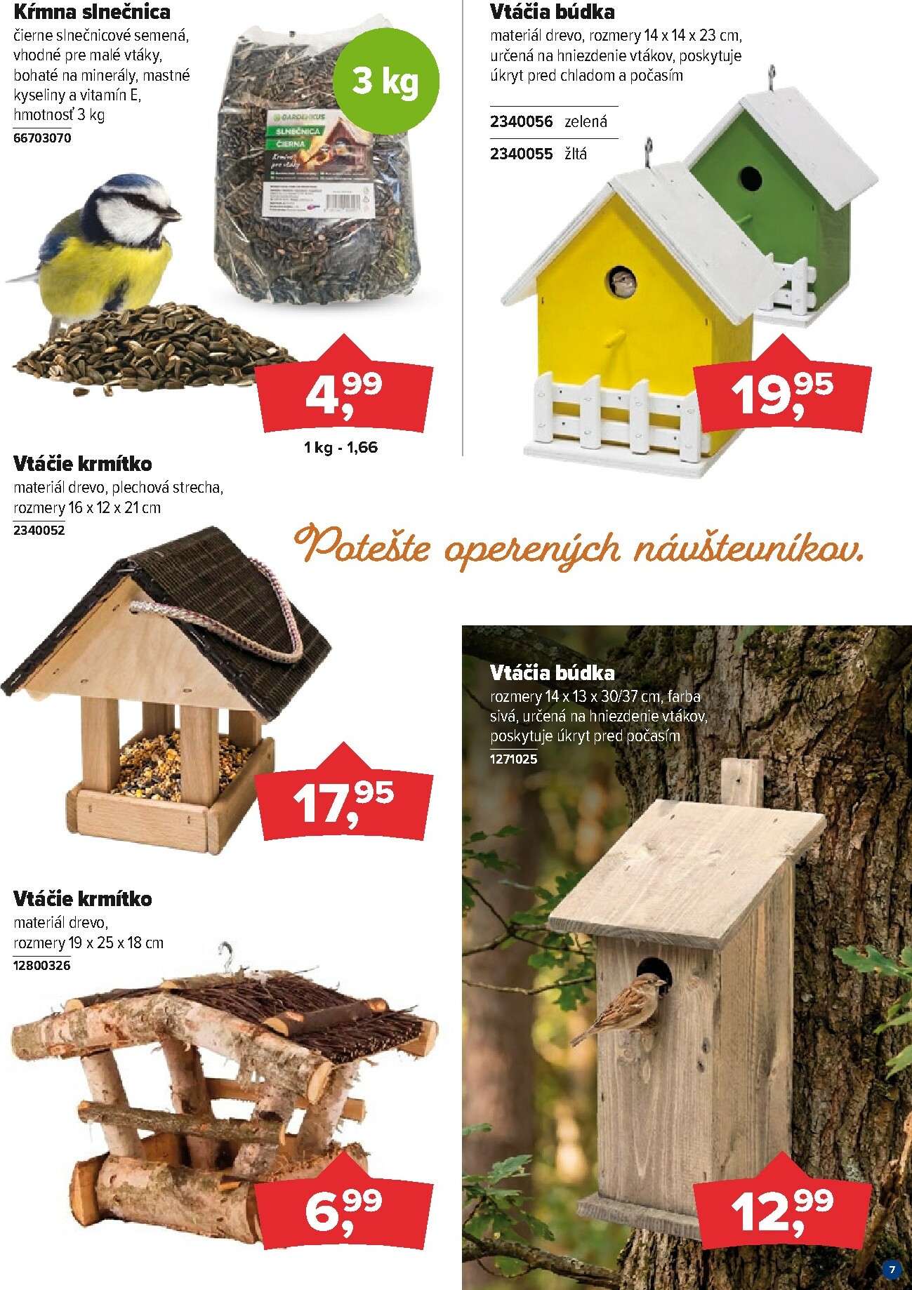 kinekus - Leták Kinekus platný od 27.12. do 31.01. - page: 7