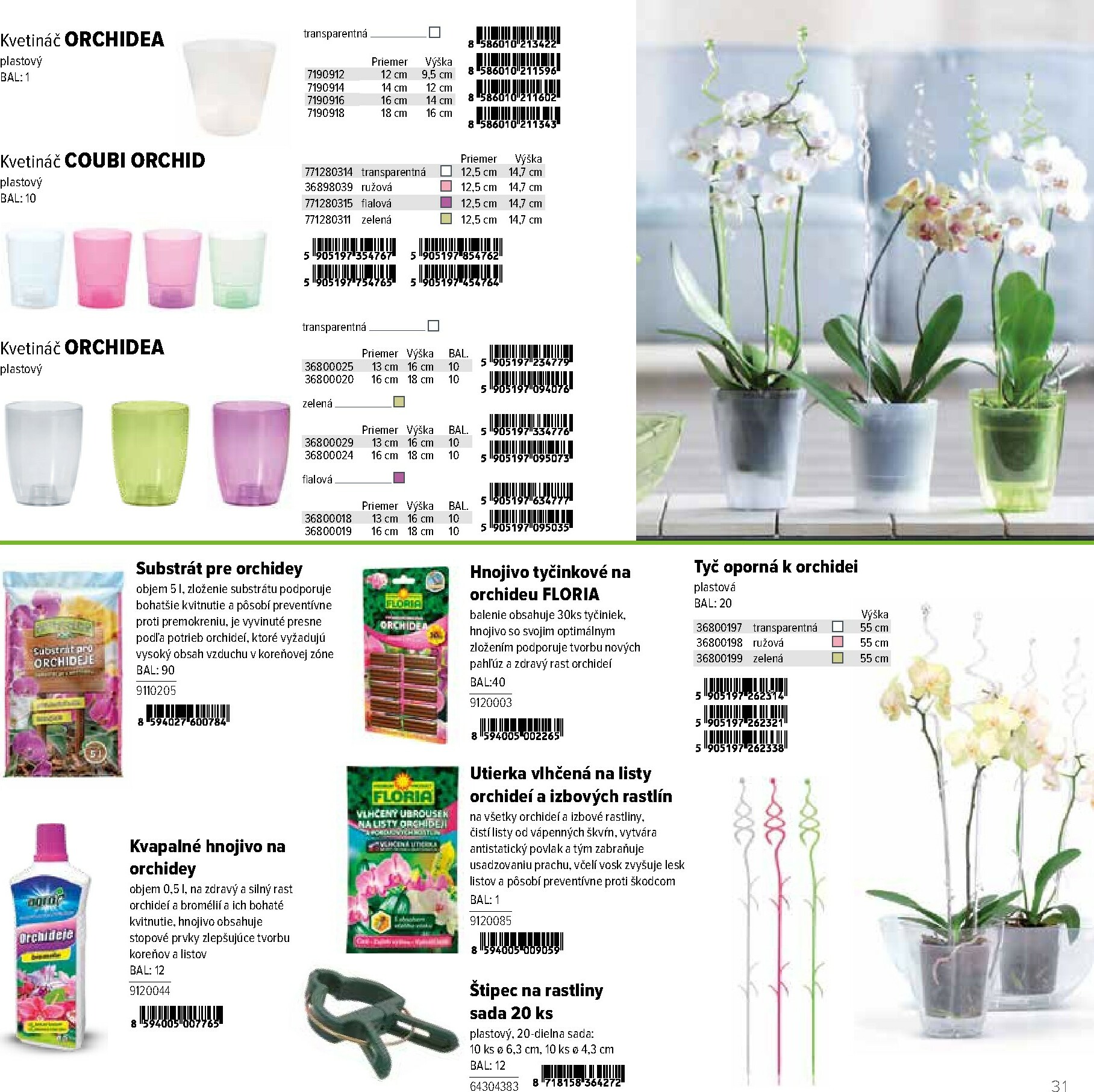 kinekus - Leták Kinekus - Katalóg Kvetináče platný od 01.02.2026 do 31.12.2026 - page: 31