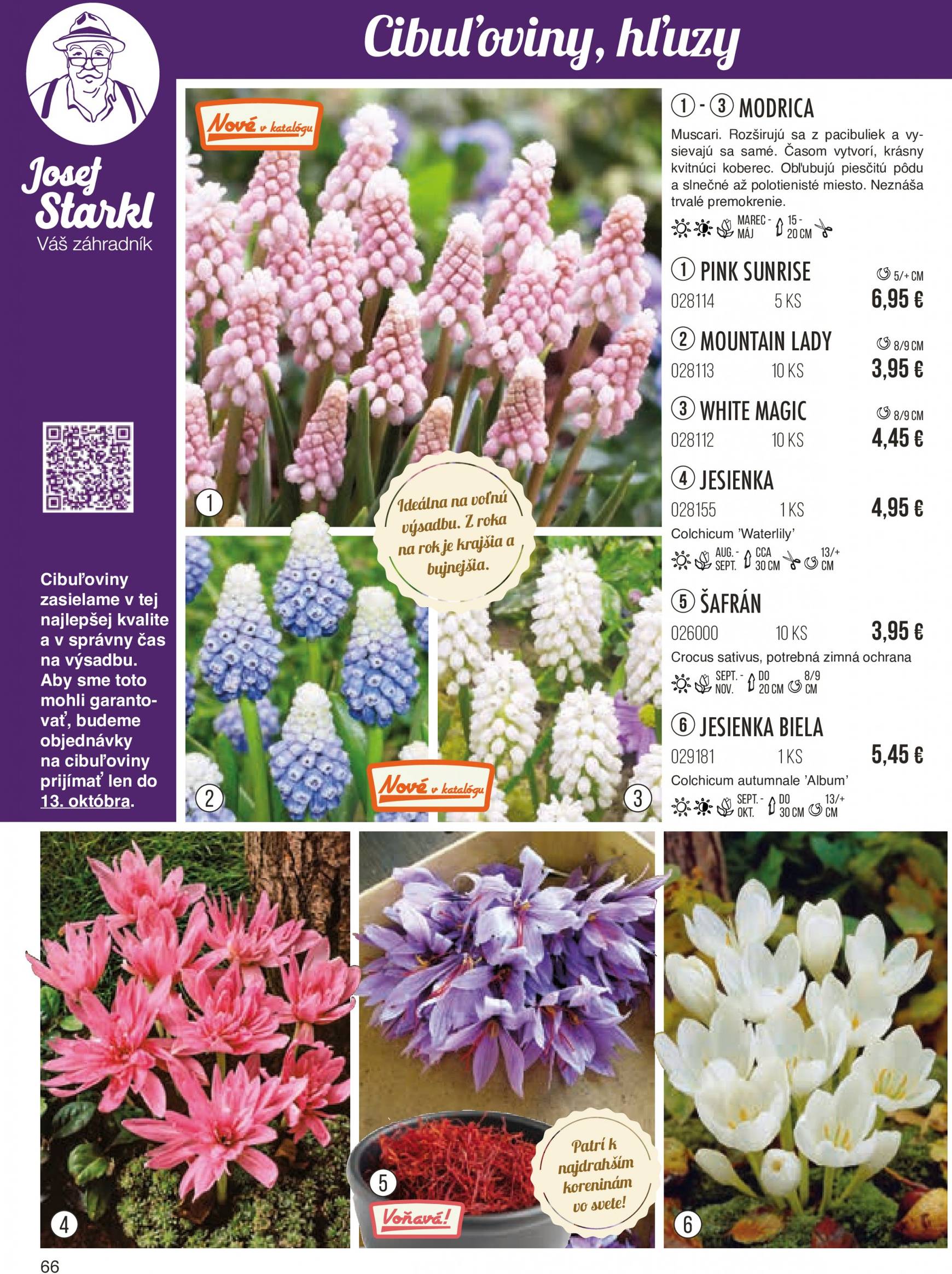 starkl - Starkl - Jeseň leták platný od 26.08. - 30.11. - page: 66 starkl - Starkl - Jeseň leták platný od 26.08. - 30.11. - page: 66