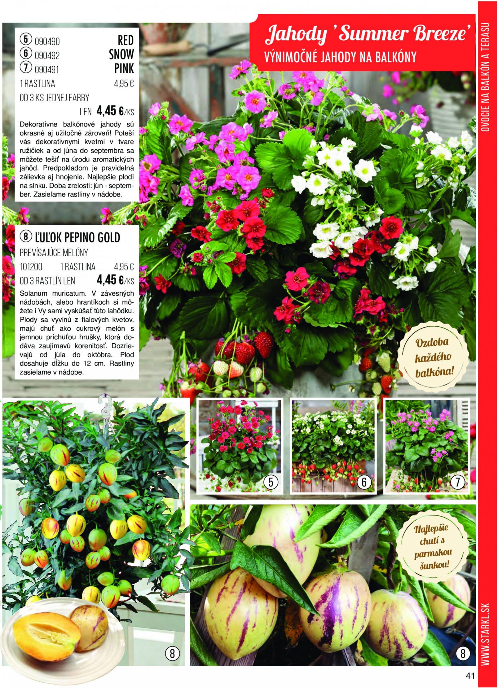 starkl - Starkl platný od 01.03.2024 - page: 41 starkl - Starkl platný od 01.03.2024 - page: 41