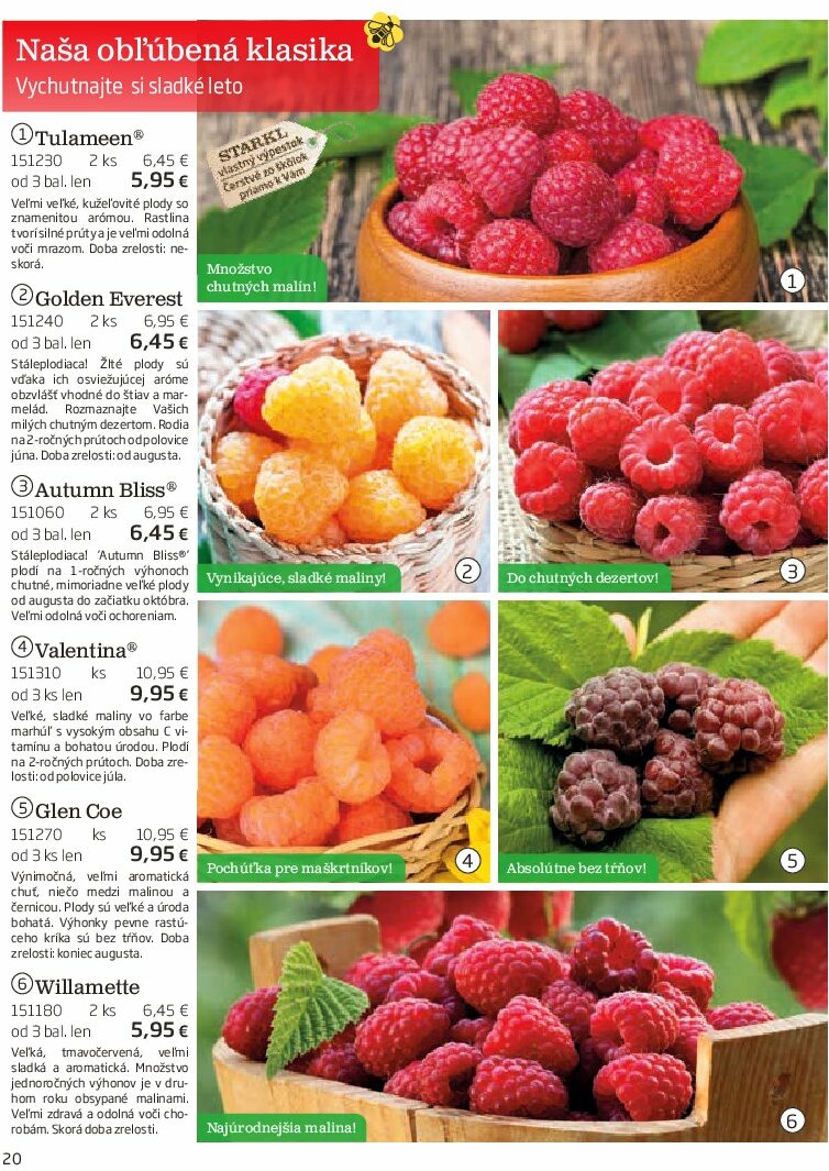 starkl - Leták Starkl platný od 01.08. do 31.10. - page: 20