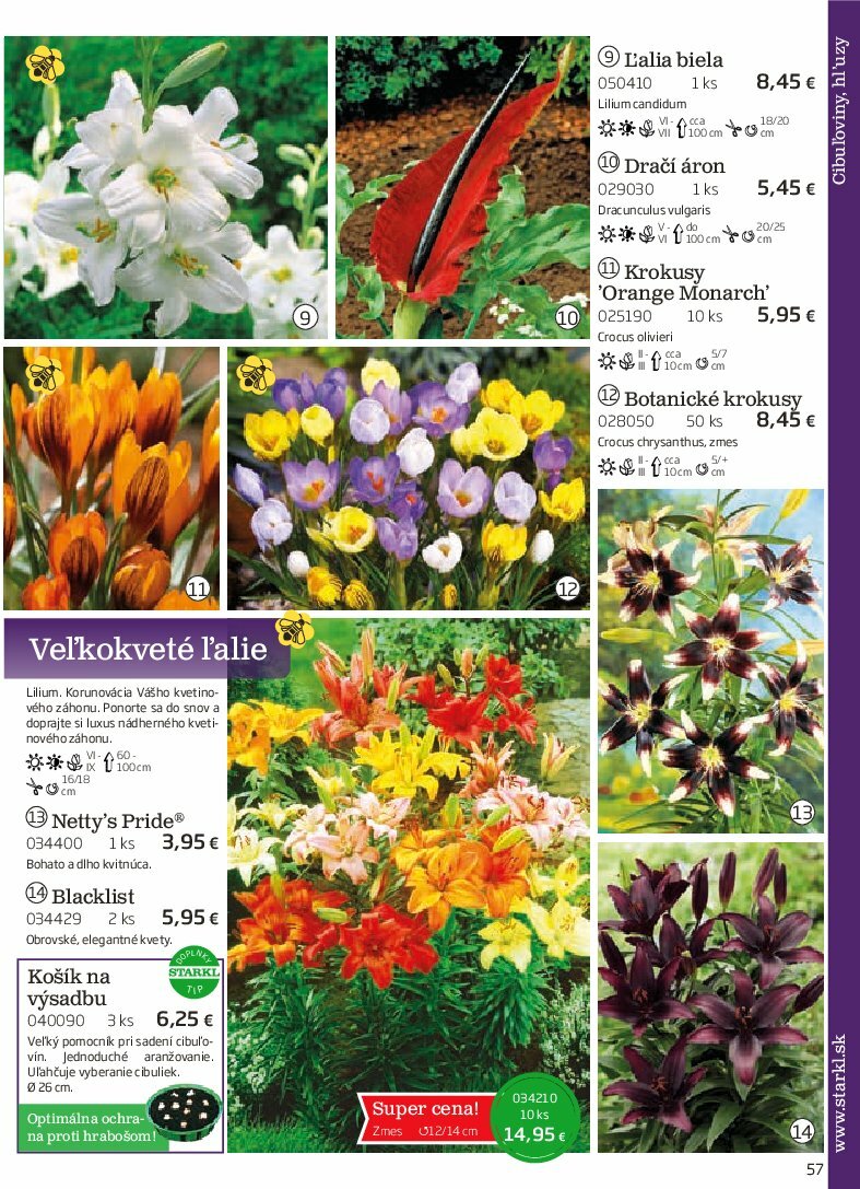 starkl - Leták Starkl platný od 01.08. do 31.10. - page: 57