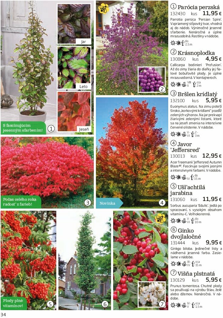 starkl - Leták Starkl platný od 01.08. do 31.10. - page: 34